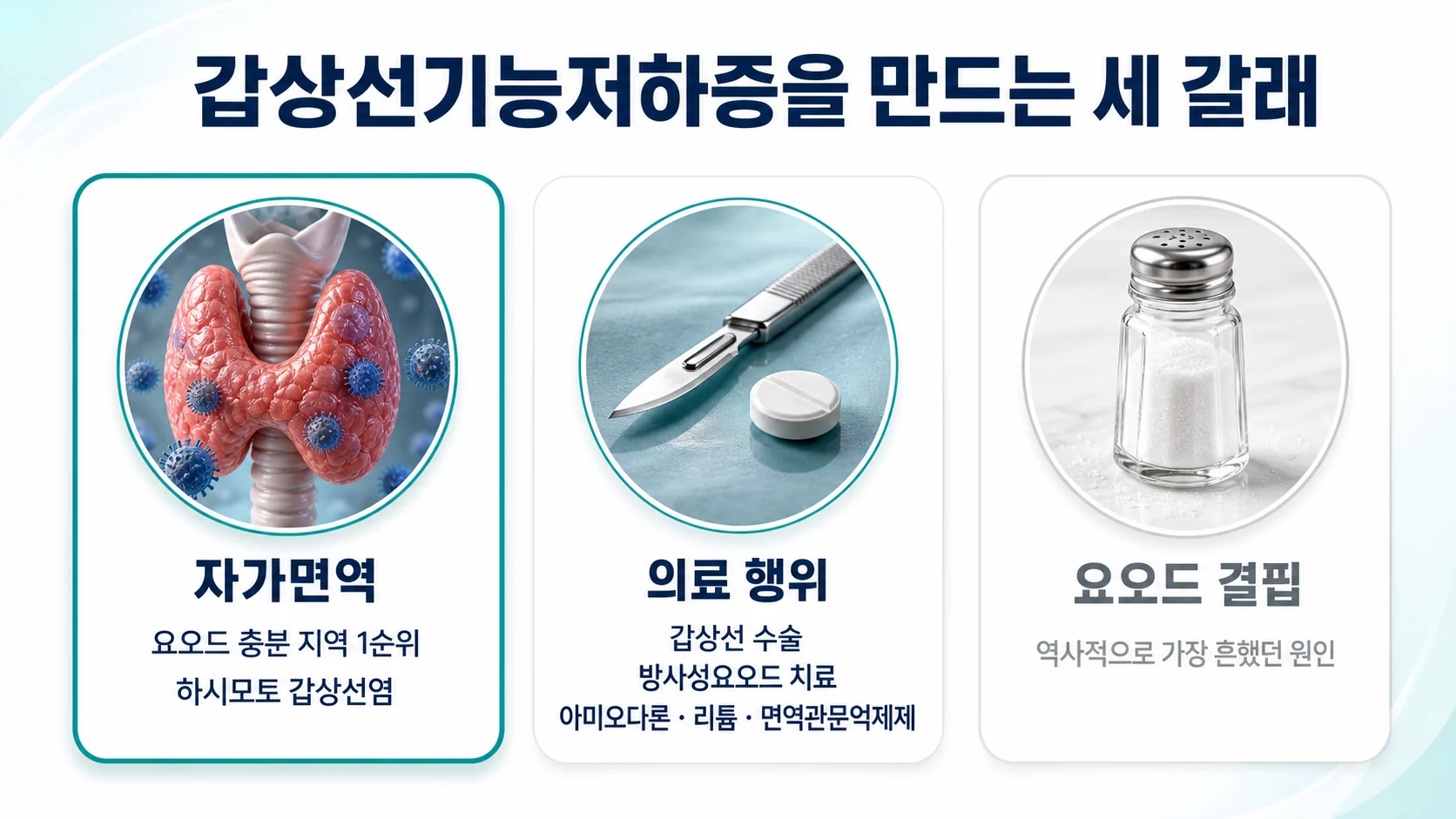 갑상선기능저하증을 만드는 세 갈래 원인 지도