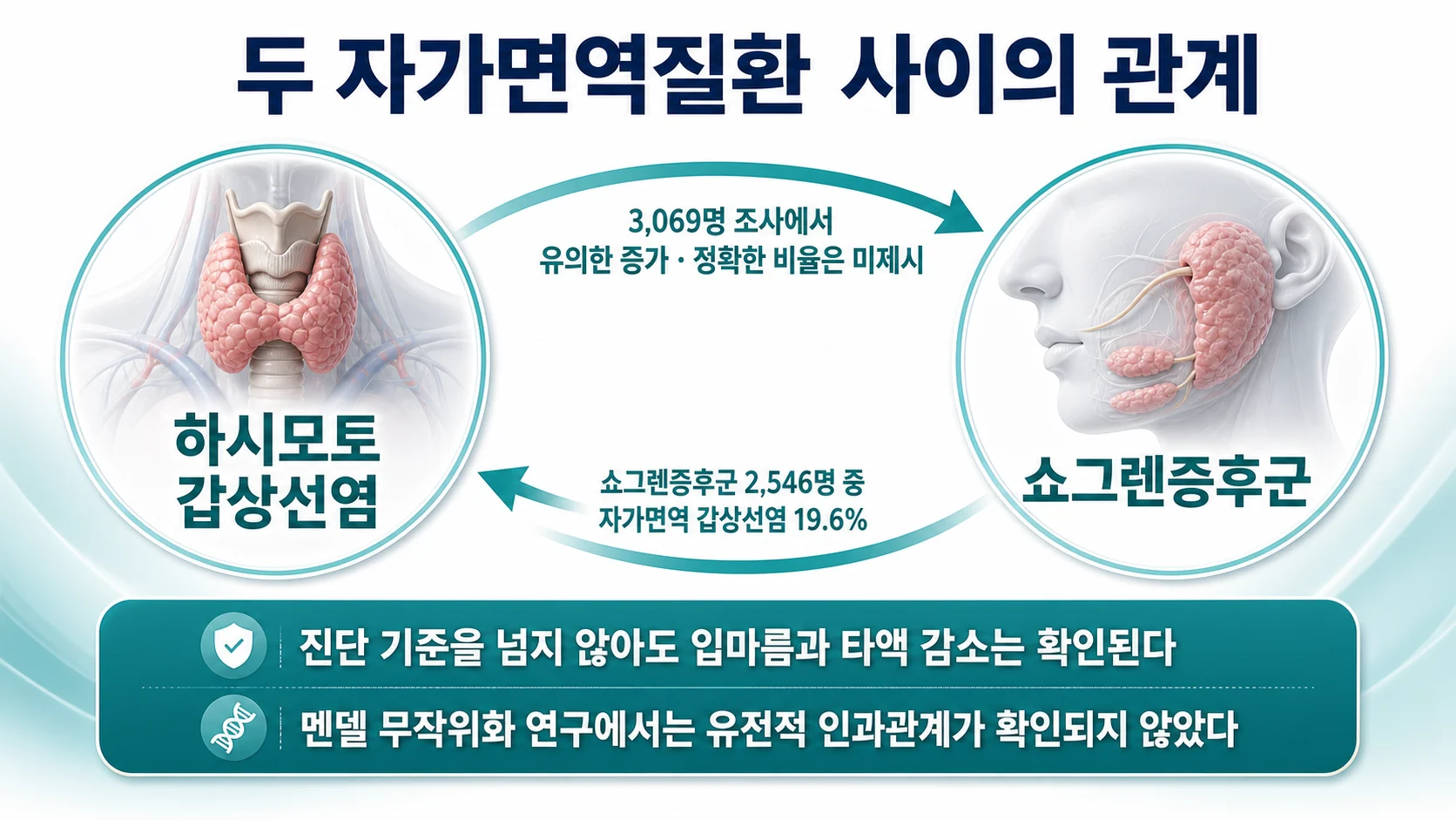 두 자가면역질환 사이의 관계 정리