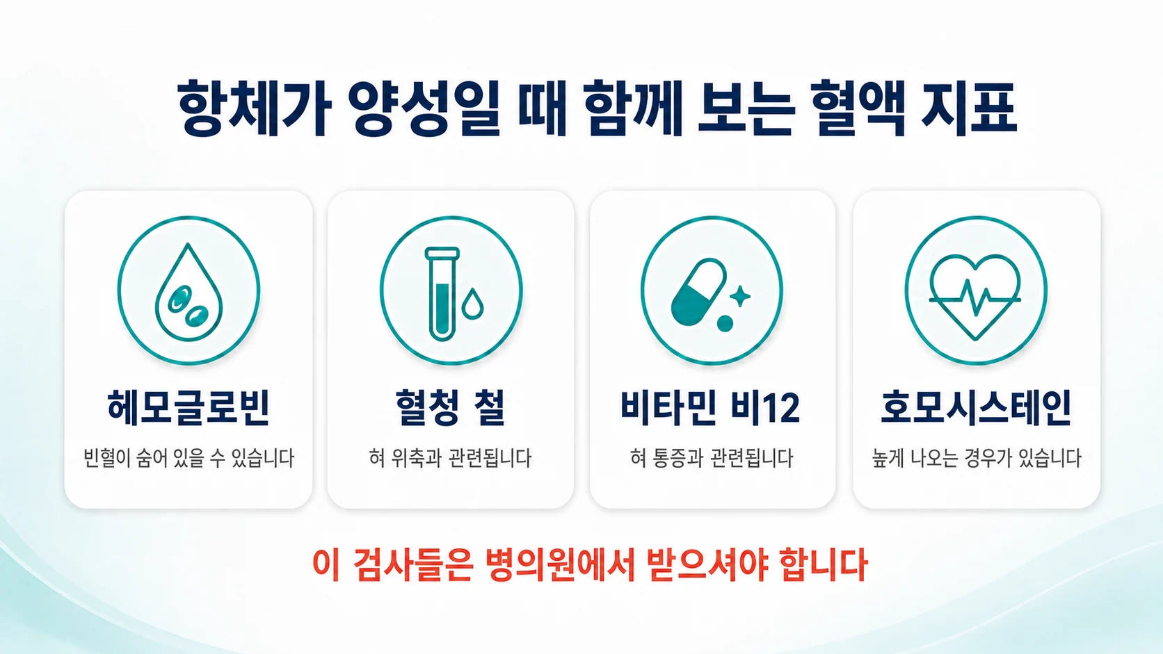 헤모글로빈·혈청 철·비타민 비12·호모시스테인을 카드로 정리한 이미지