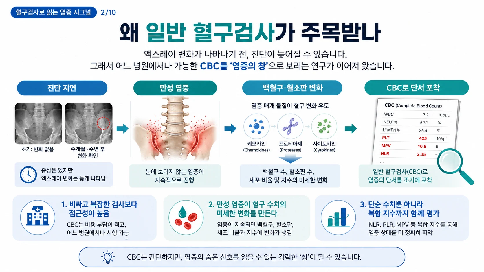 왜 일반 혈구검사가 주목받나 — 누구나 받는 기본 피검사를 염증의 창으로