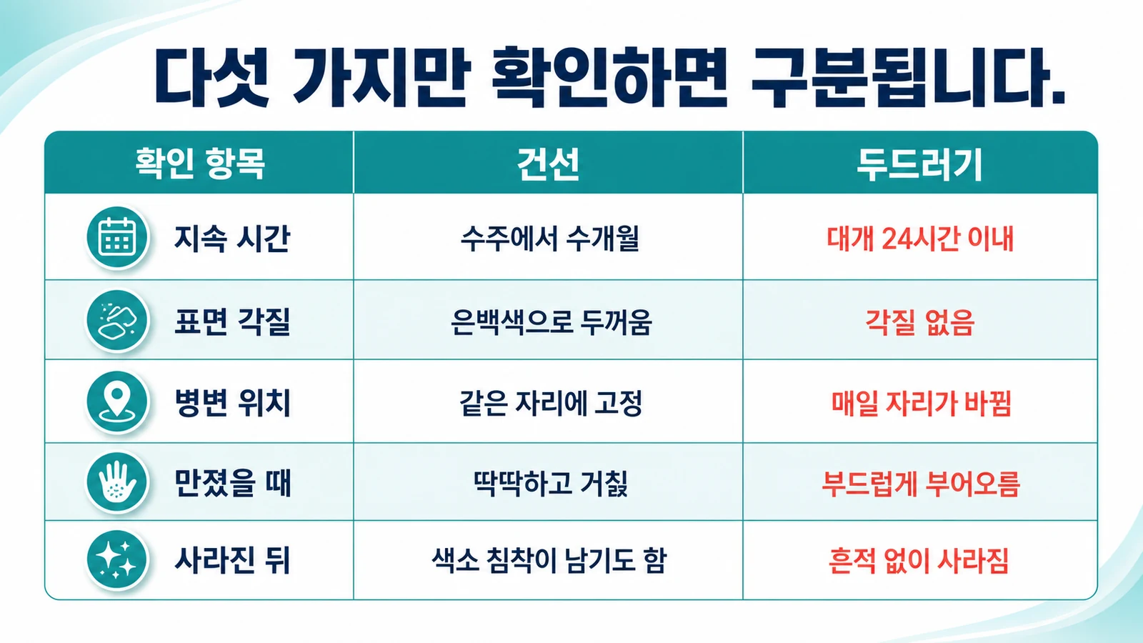 다섯 가지 확인 항목 비교