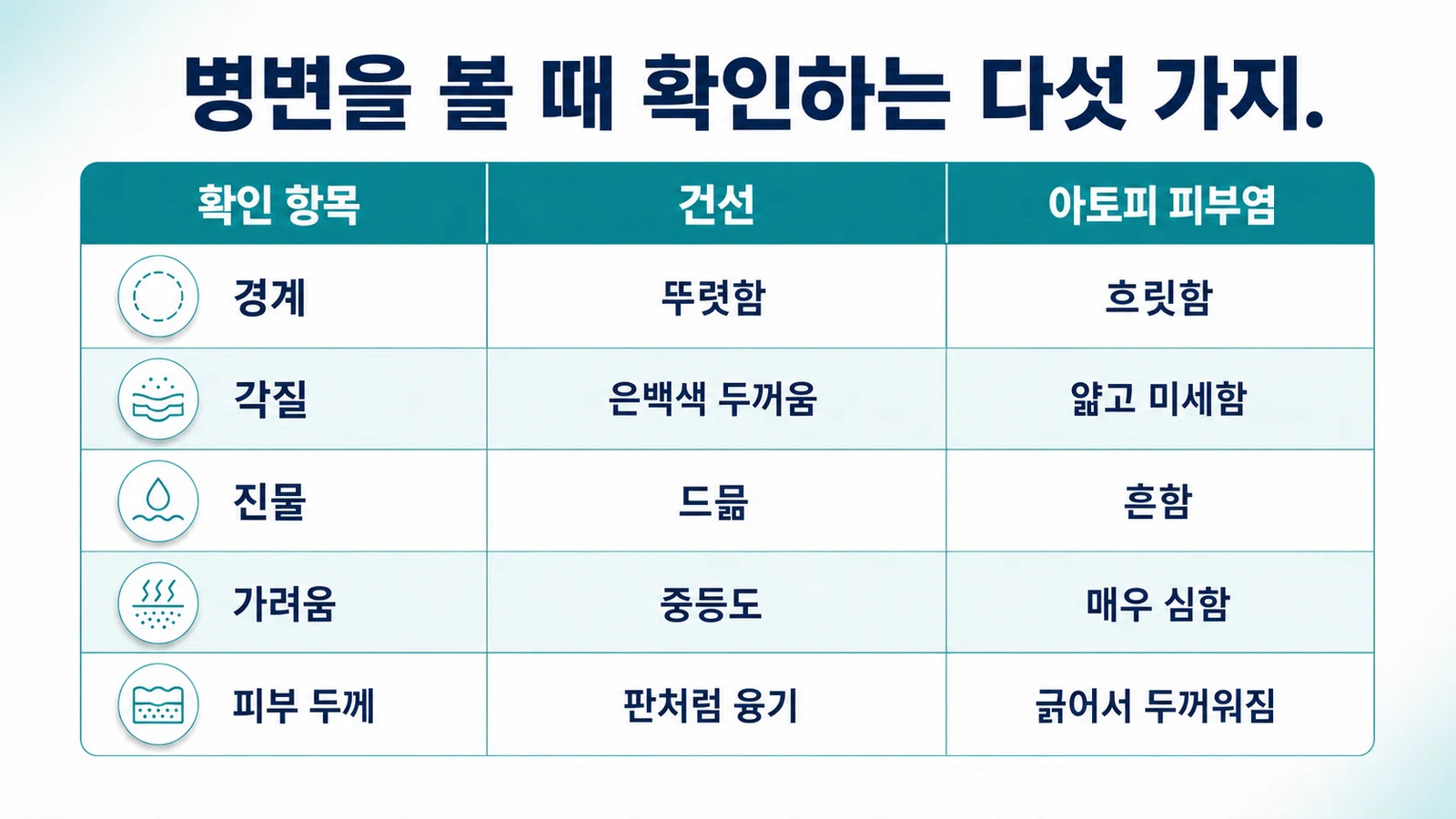 병변 확인 항목 다섯 가지 비교표