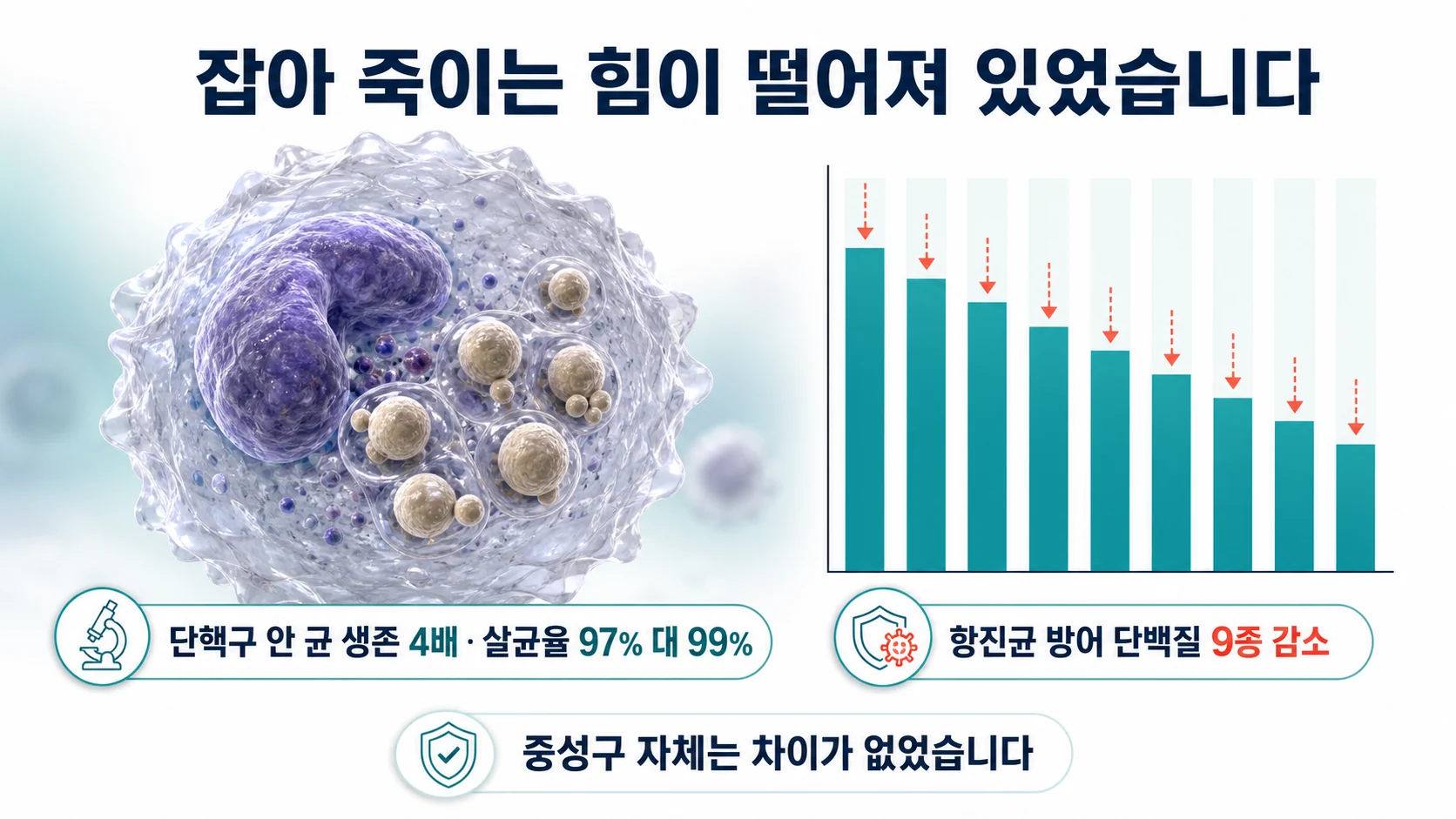 치료 중 곰팡이를 죽이는 면역세포 기능과 방어 단백질이 떨어져 있는 것을 보여 주는 이미지