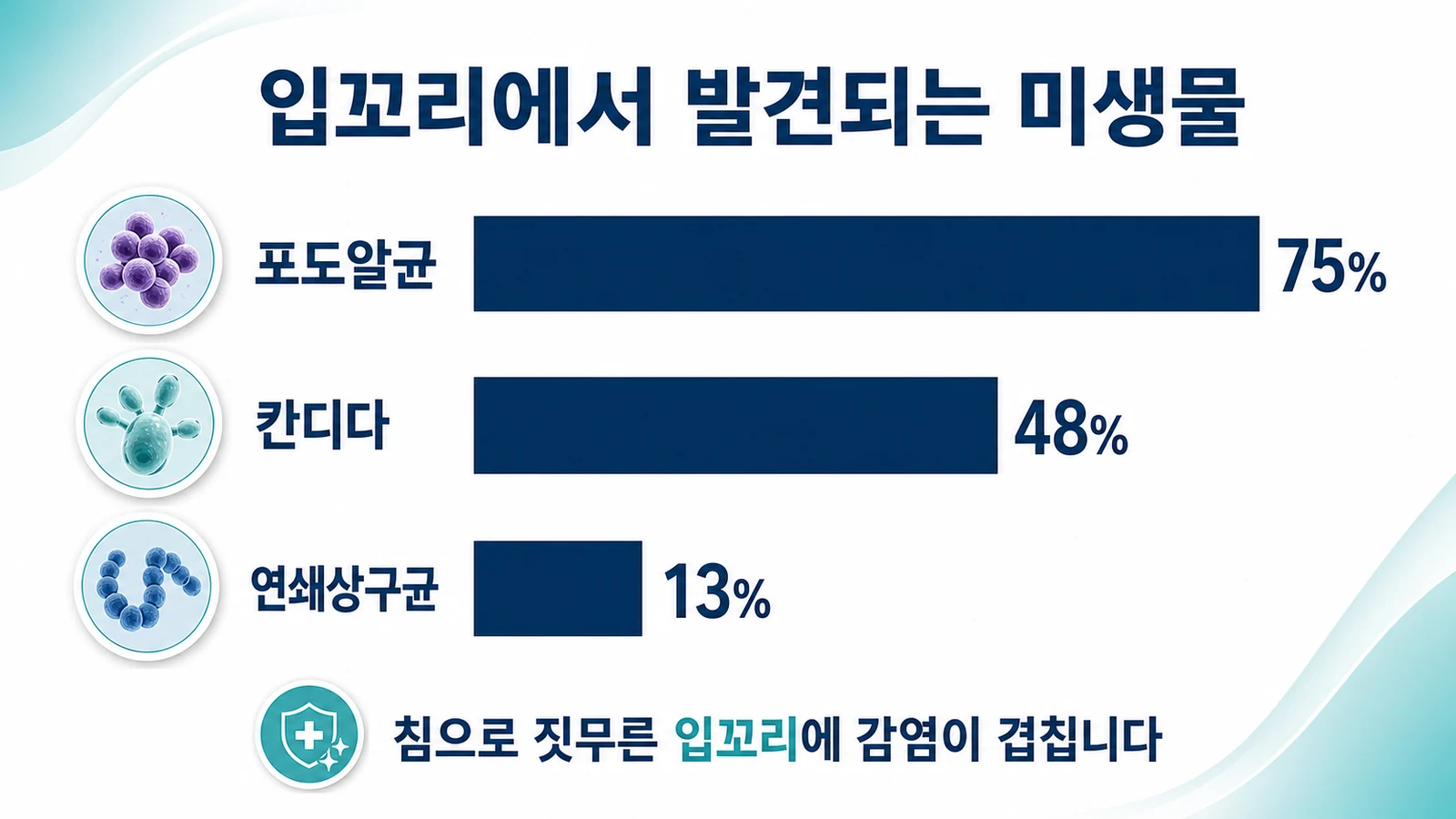입꼬리에서 검출된 포도알균 75퍼센트, 칸디다 48퍼센트, 연쇄상구균 13퍼센트