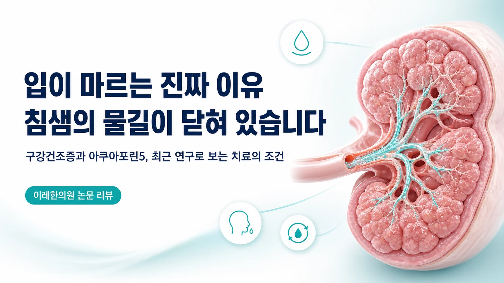 침샘의 물길인 아쿠아포린5를 주제로 한 글의 표지 이미지
