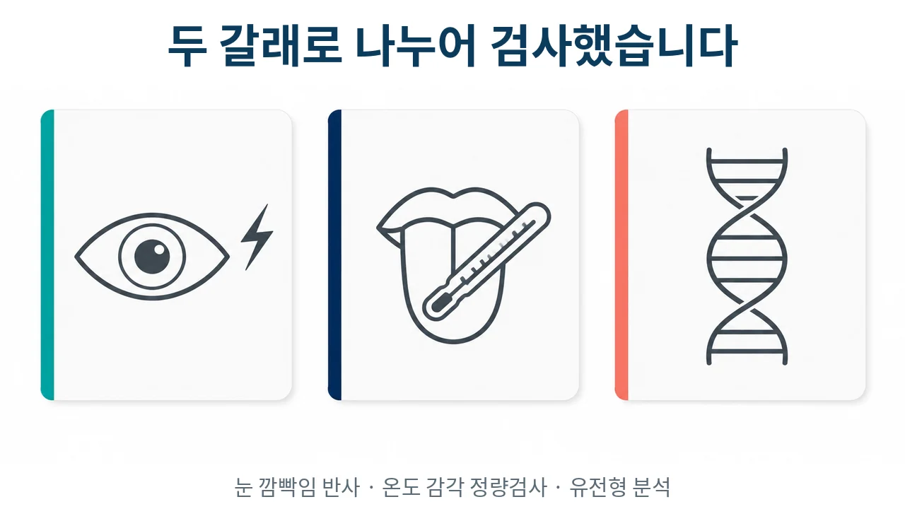 연구가 무엇을 쟀는지 보여주는 도식