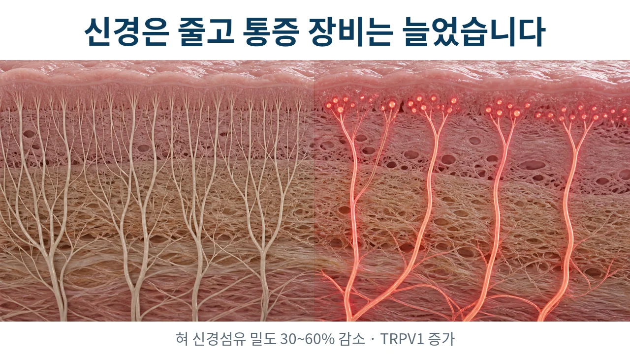 혀 조직에서 실제로 달라져 있는 것들