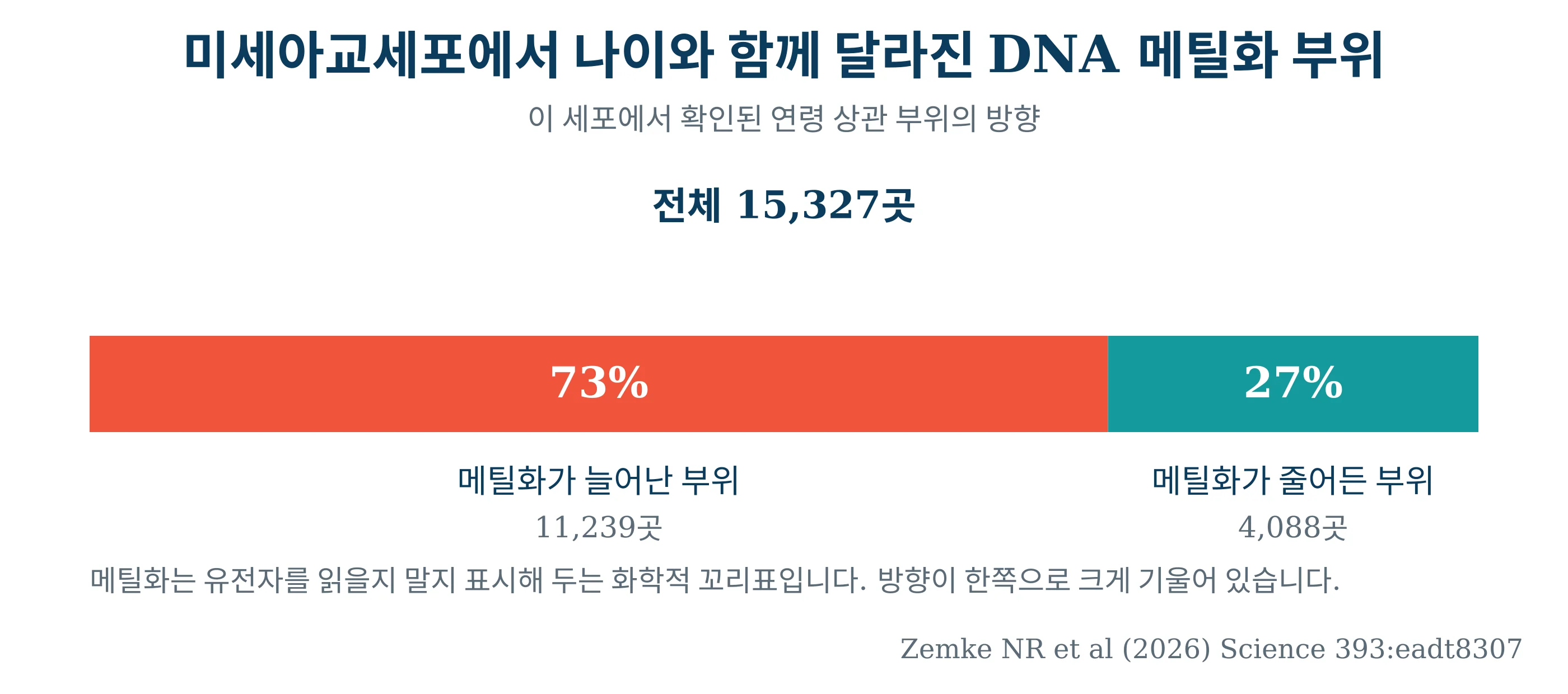 미세아교세포에서 나이와 함께 달라진 DNA 메틸화 부위의 방향을 보여 주는 막대그래프