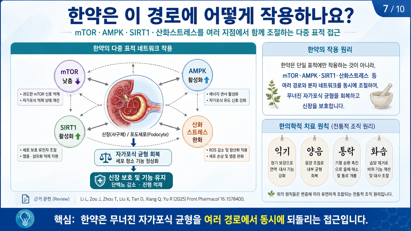 한약은 이 경로에 어떻게 작용하나 — 다중 표적 조절 (익기·양음·통락·화습)
