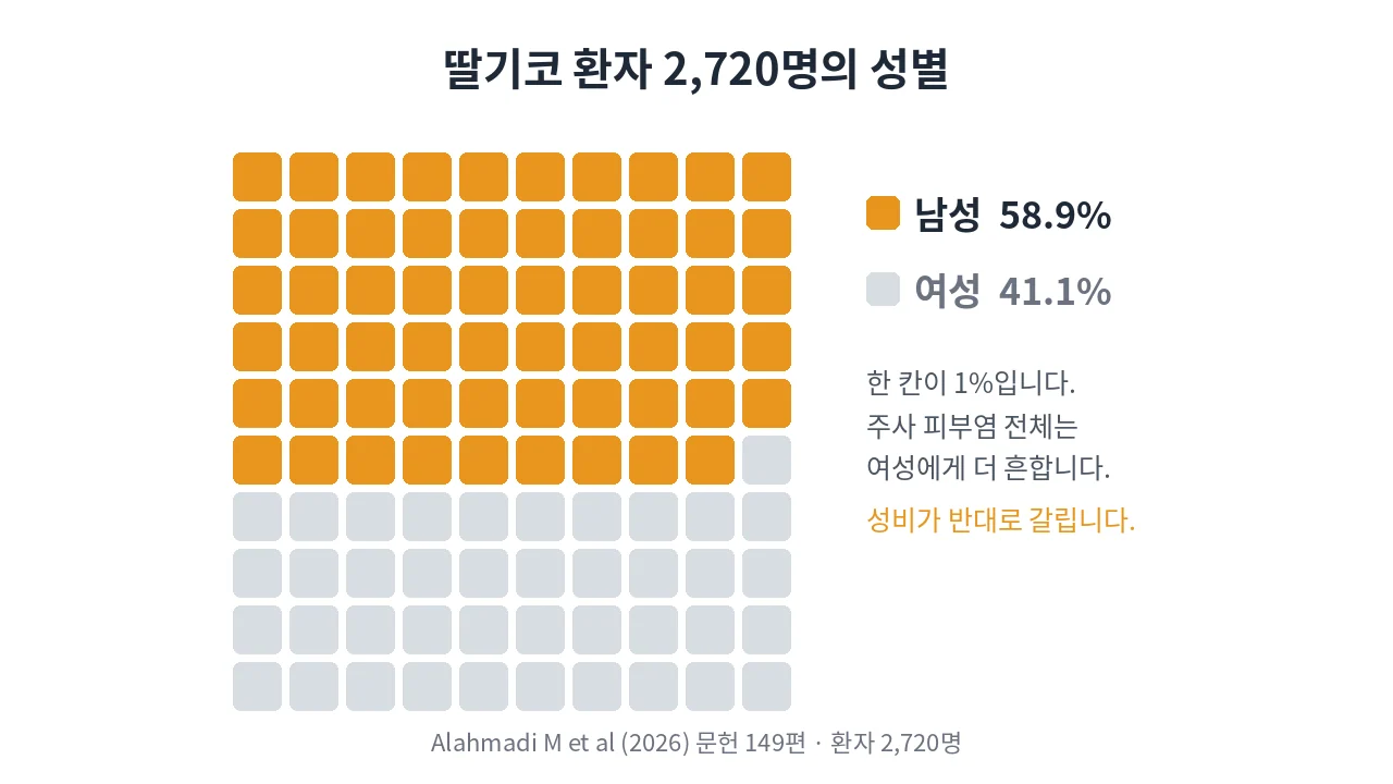 딸기코와 주사 피부염의 성비가 반대인 점