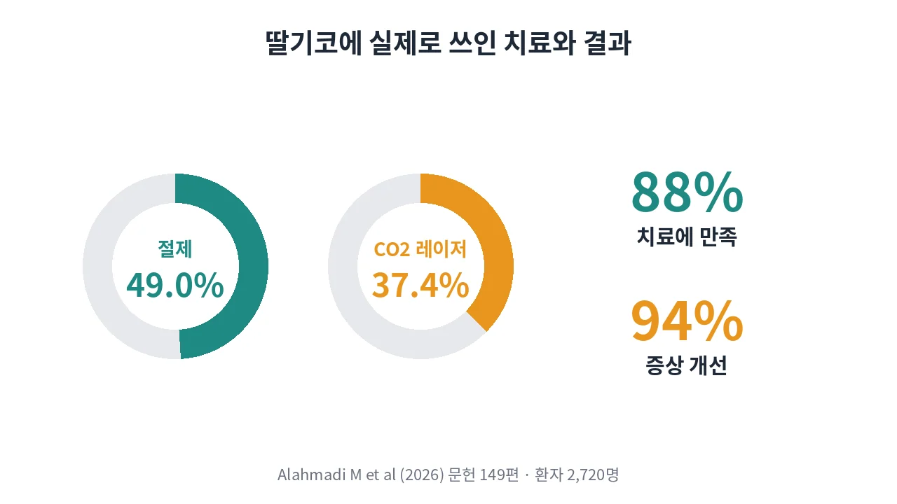 딸기코 치료 방법별 사용 비율과 결과