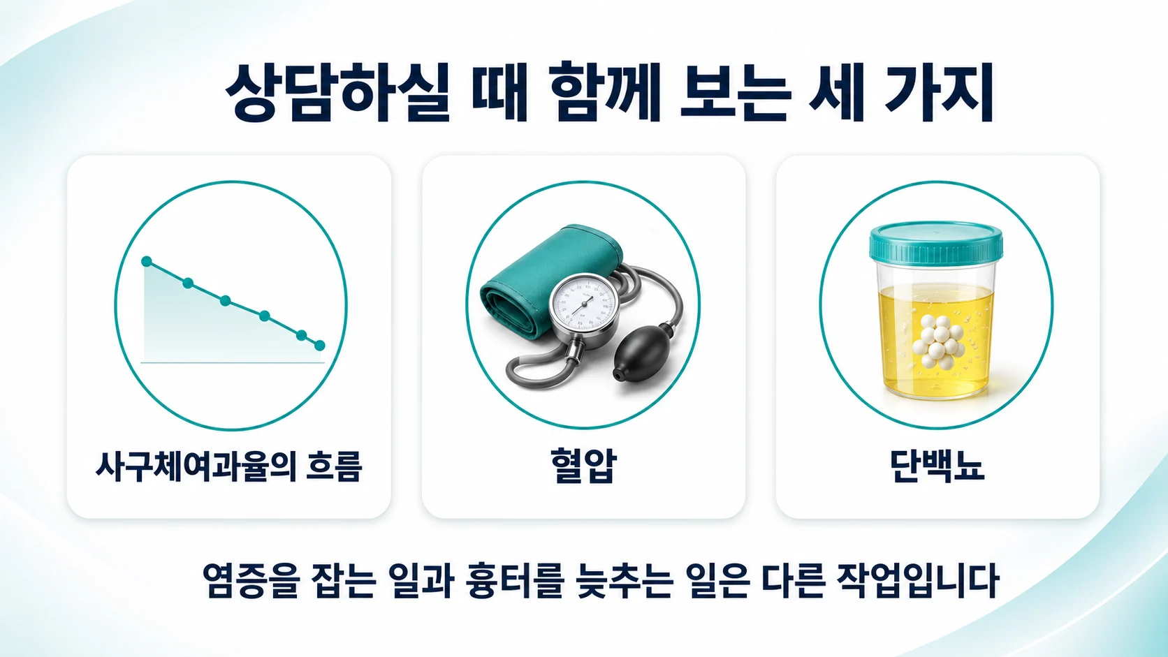 루푸스 신염과 만성콩팥병을 한 장으로 정리하면