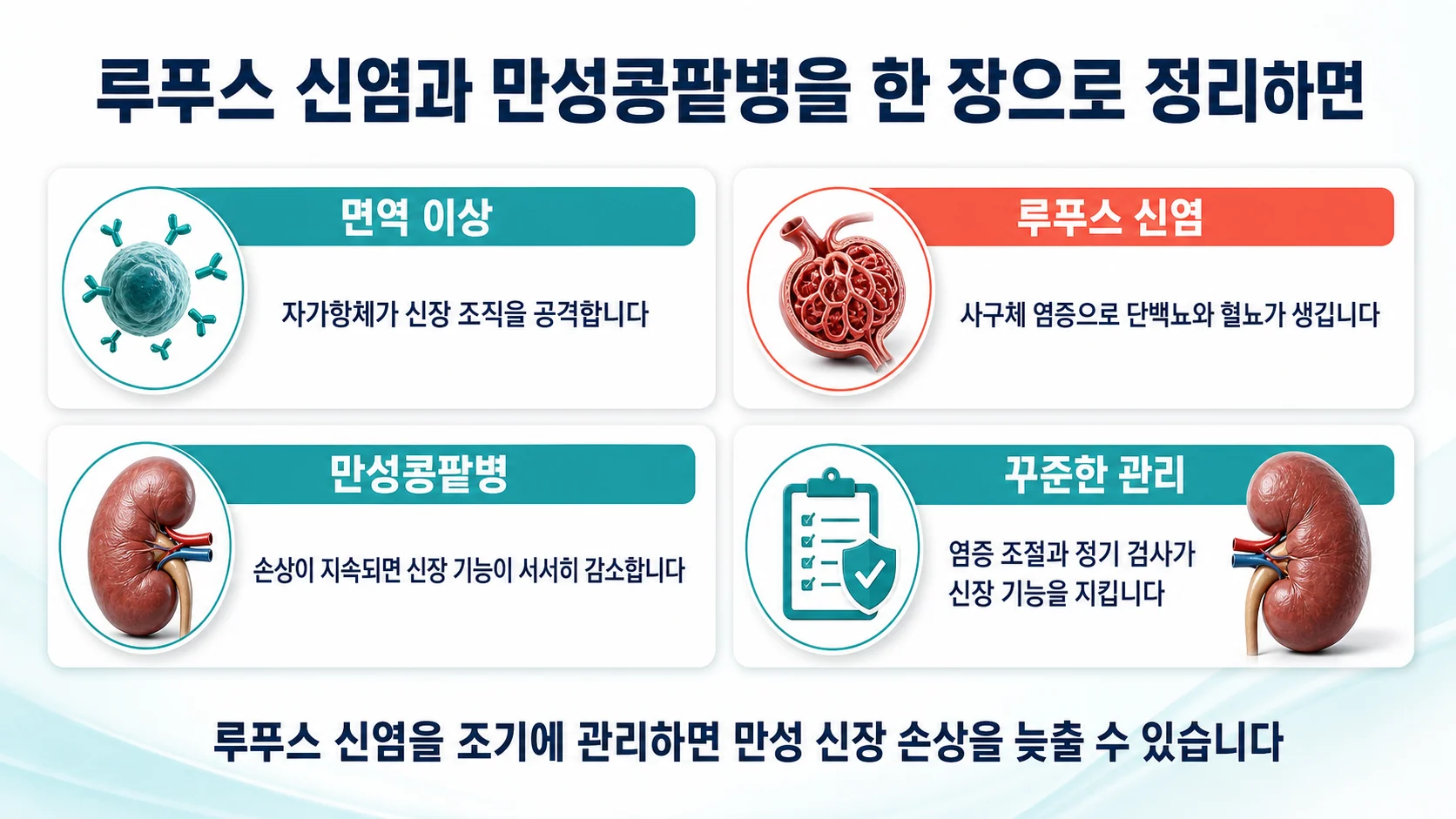 상담하실 때 함께 보는 세 가지 — 사구체여과율의 흐름과 혈압, 단백뇨