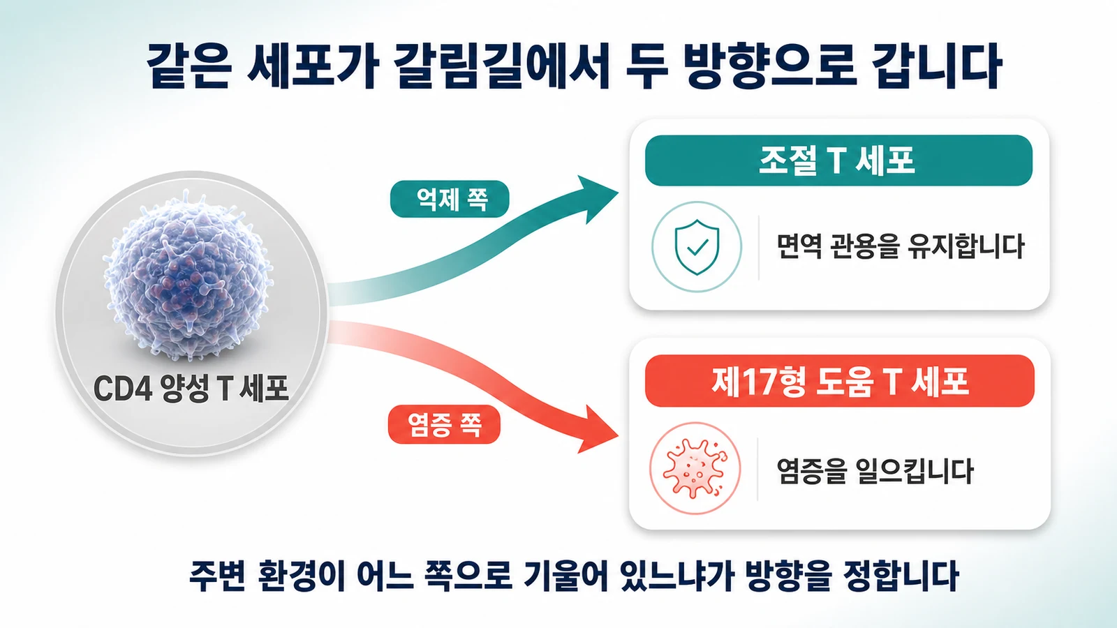 같은 출발점에서 갈라지는 두 방향