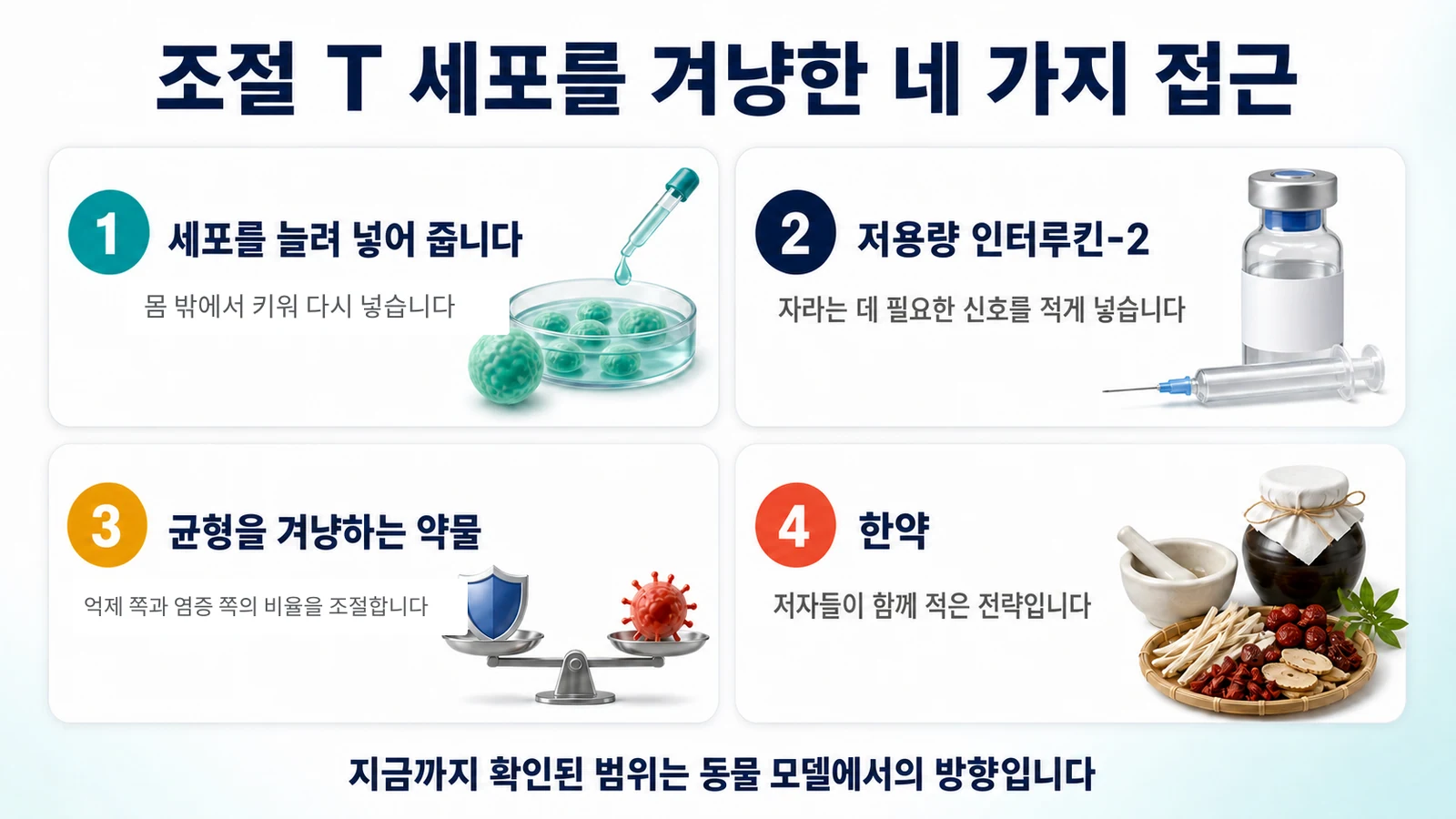 조절 T 세포를 겨냥한 접근을 정리하면