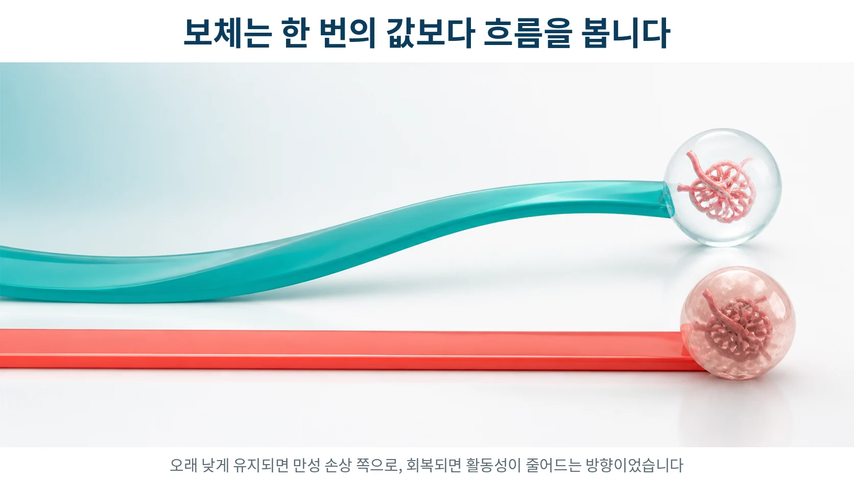 보체 수치의 흐름이 조직 소견과 이어지는 방식