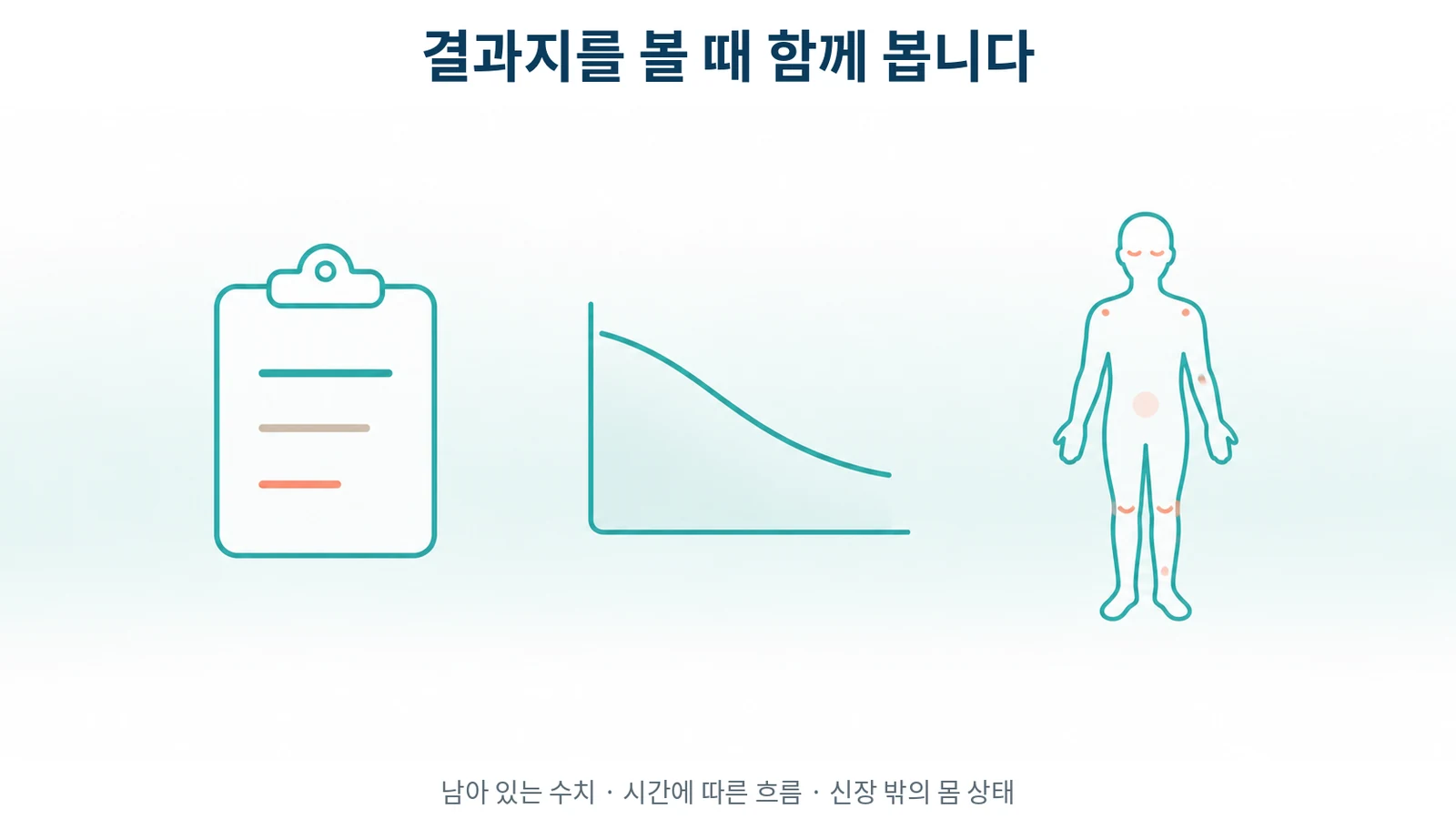 루푸스 신염 결과지를 볼 때 함께 보는 것