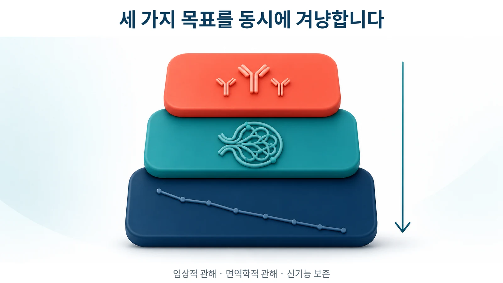 루푸스 신염의 세 가지 치료 목표 정리