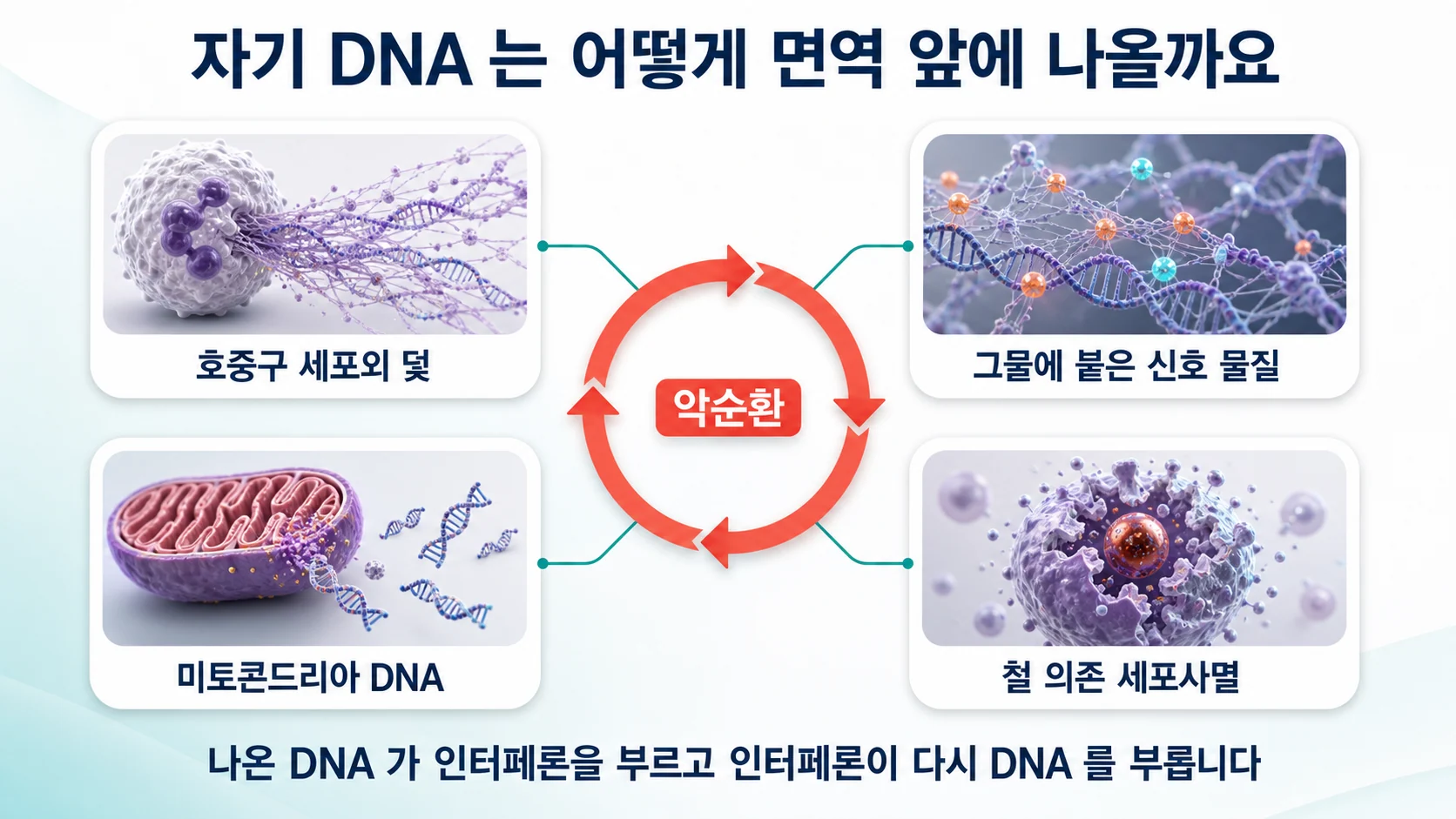 자기 DNA가 면역 앞에 나오는 여러 경로