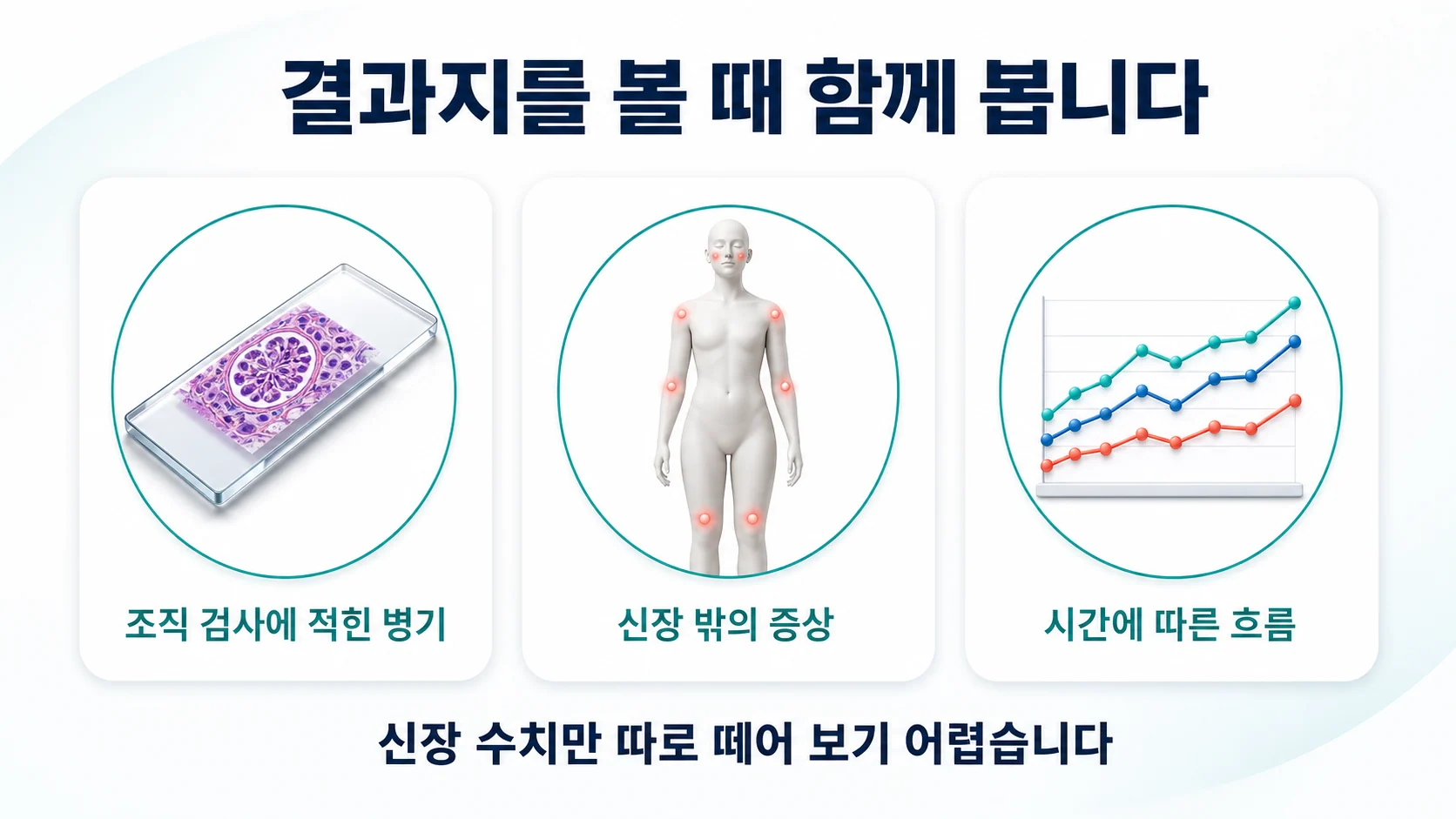 결과지를 볼 때 함께 보는 것