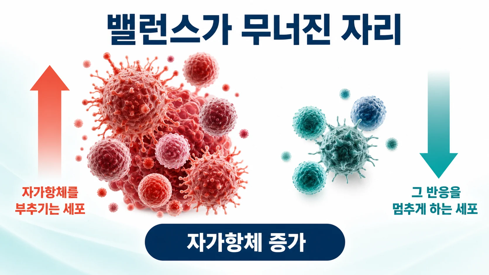 자가항체를 부추기는 세포와 그것을 멈추게 하는 세포의 불균형을 나타낸 도식
