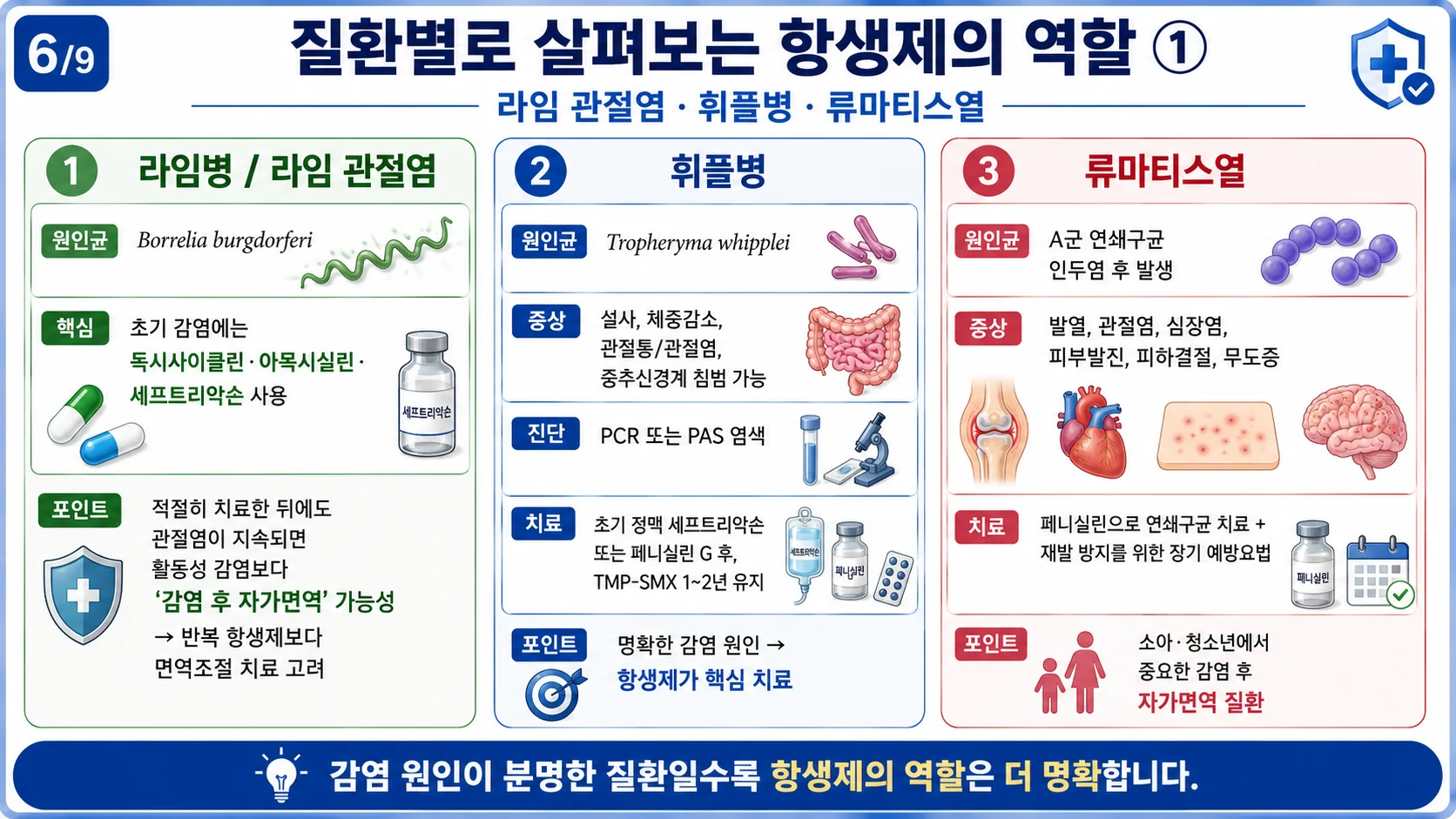 질환별로 살펴보는 항생제의 역할 ① 라임 관절염·휘플병·류마티스열
