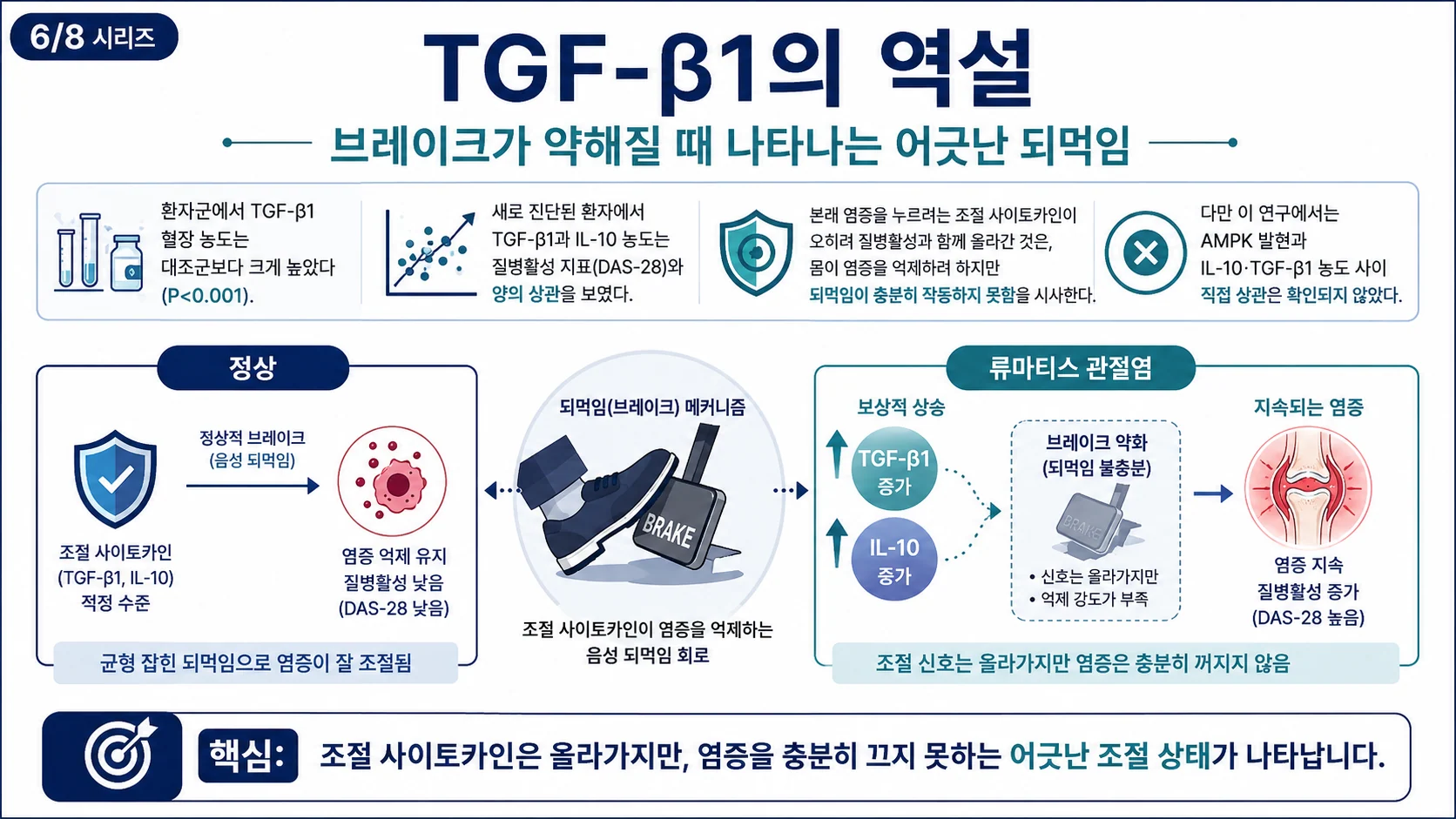 TGF-β1의 역설 — 브레이크가 약해질 때 나타나는 어긋난 되먹임