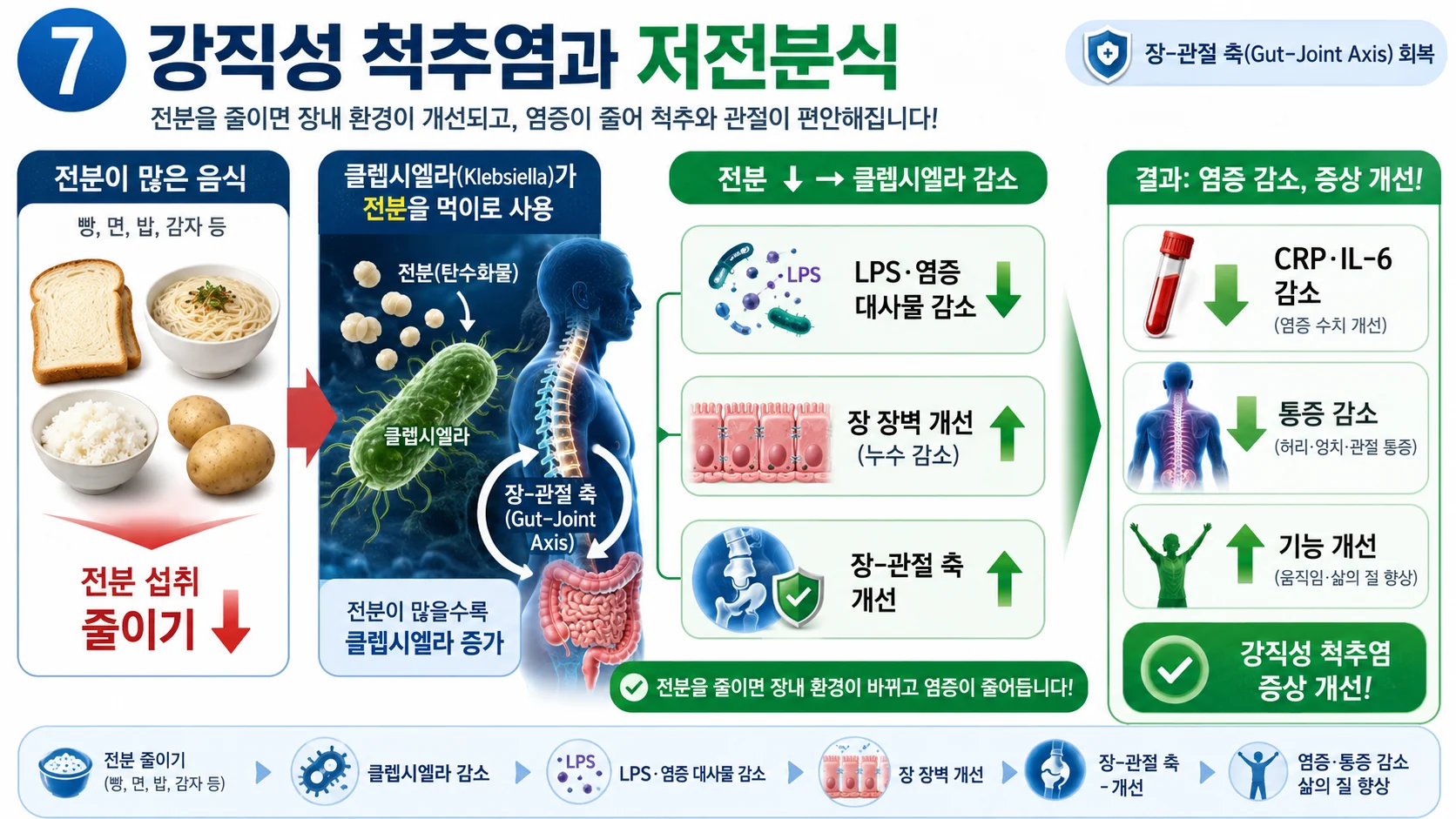 강직성 척추염과 저전분식 — 장-관절 축 회복