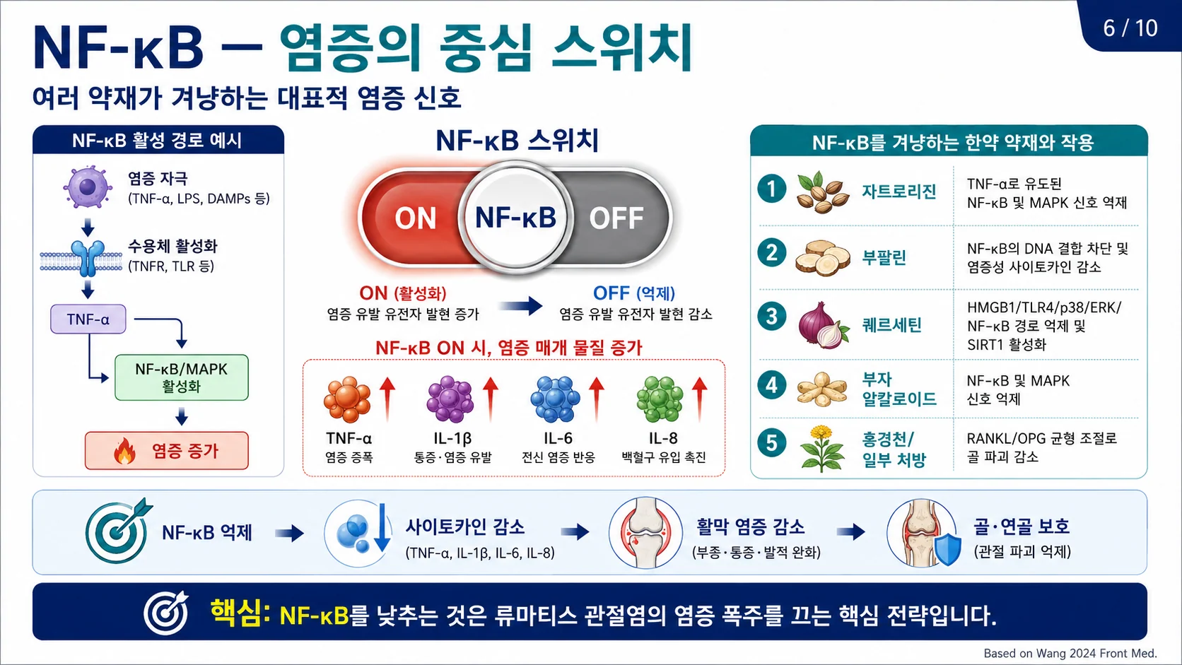 NF-κB 스위치 — 한약이 겨냥하는 대표 염증 신호