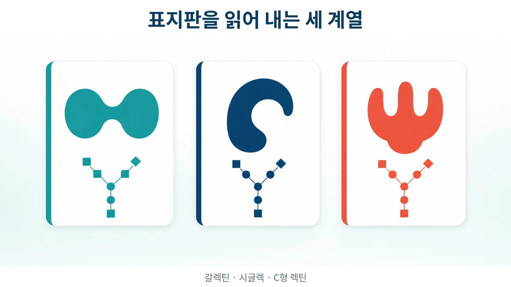 당사슬을 읽어 내는 단백질들