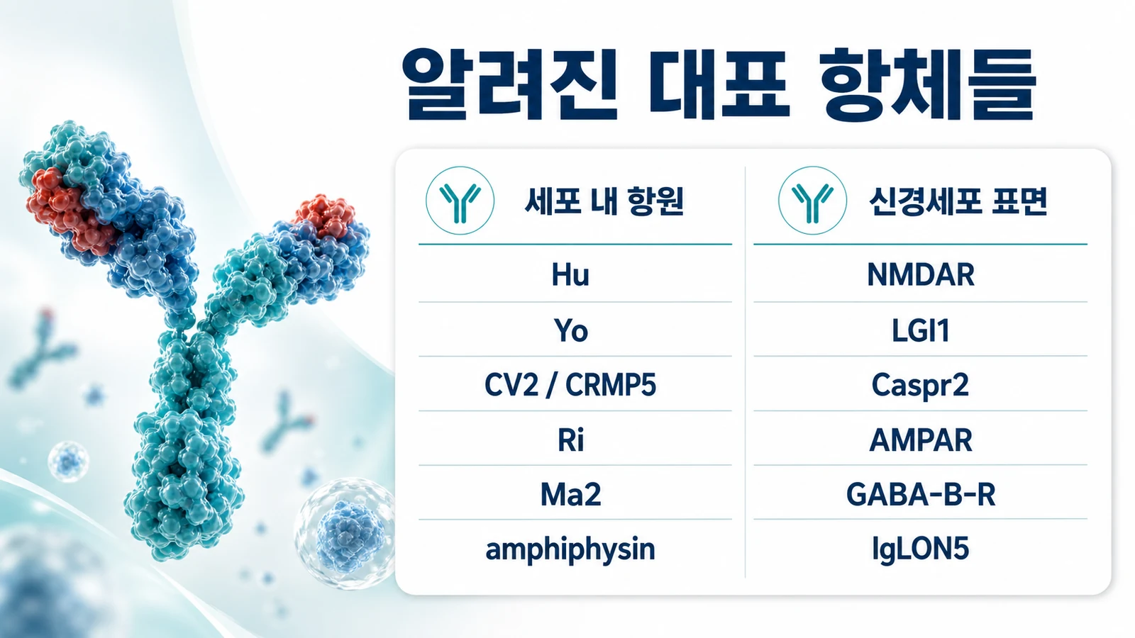 세포 내 항원 계열과 신경세포 표면 항원 계열의 대표 항체 목록을 정리한 표