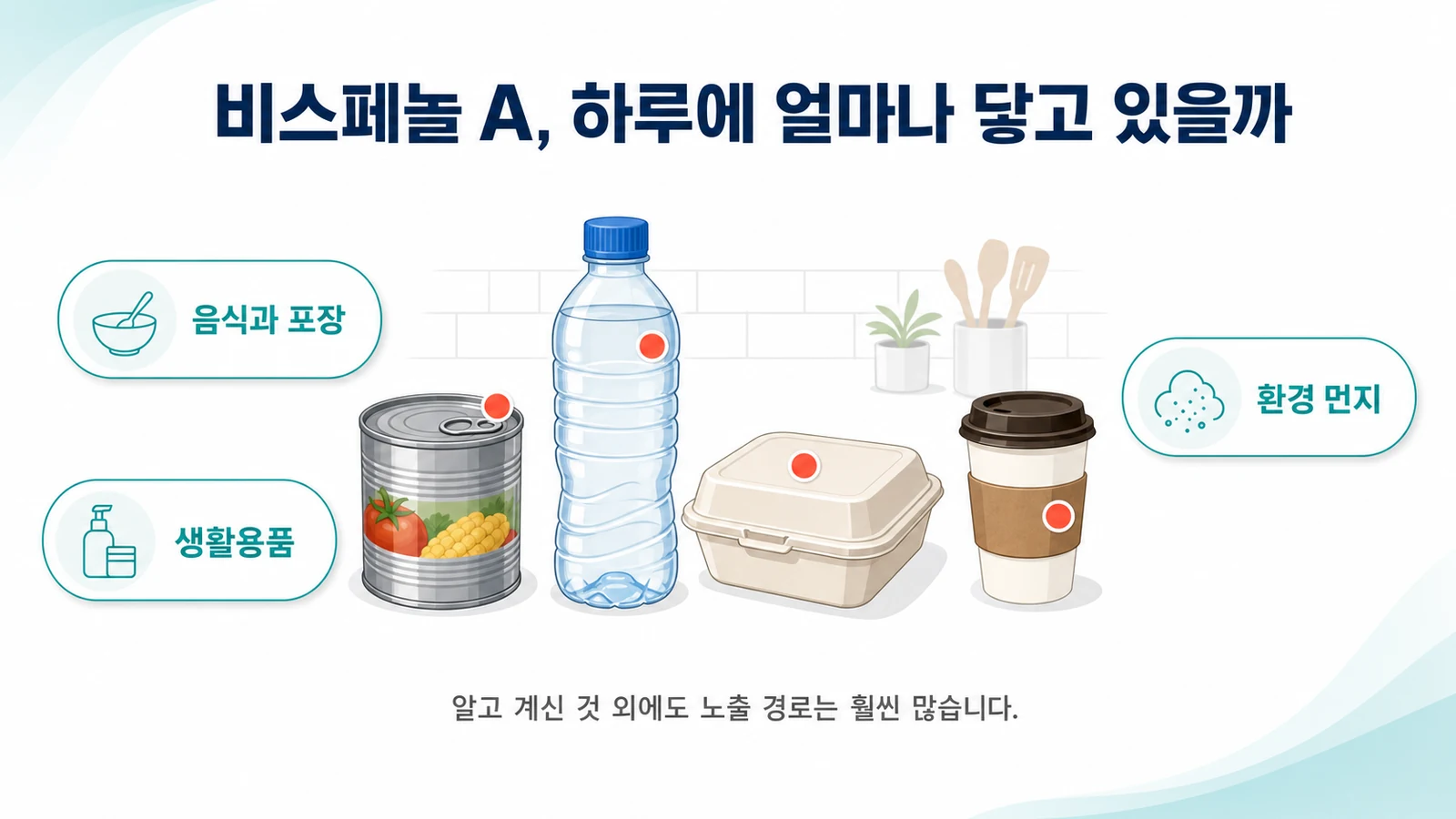 비스페놀 A, 하루에 얼마나 닿고 있을까