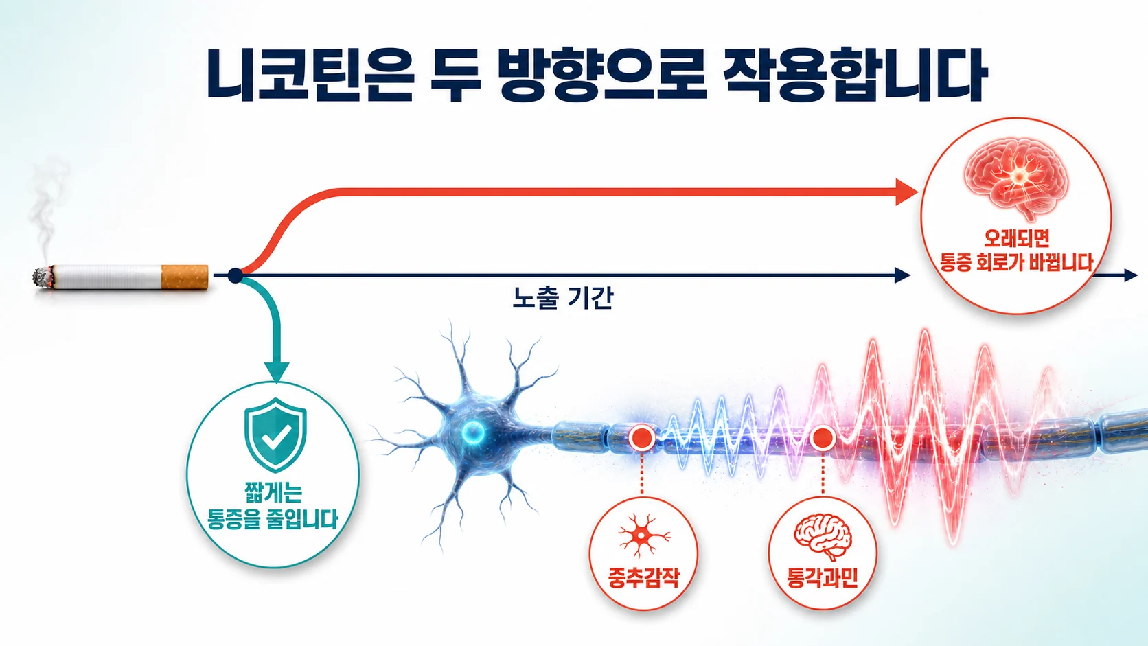 니코틴이 통증에 작용하는 두 방향
