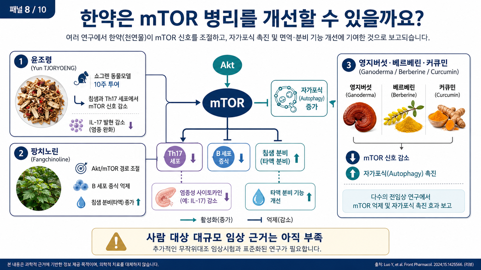 한약과 mTOR — 윤조령·방기·영지·황련·강황의 보고