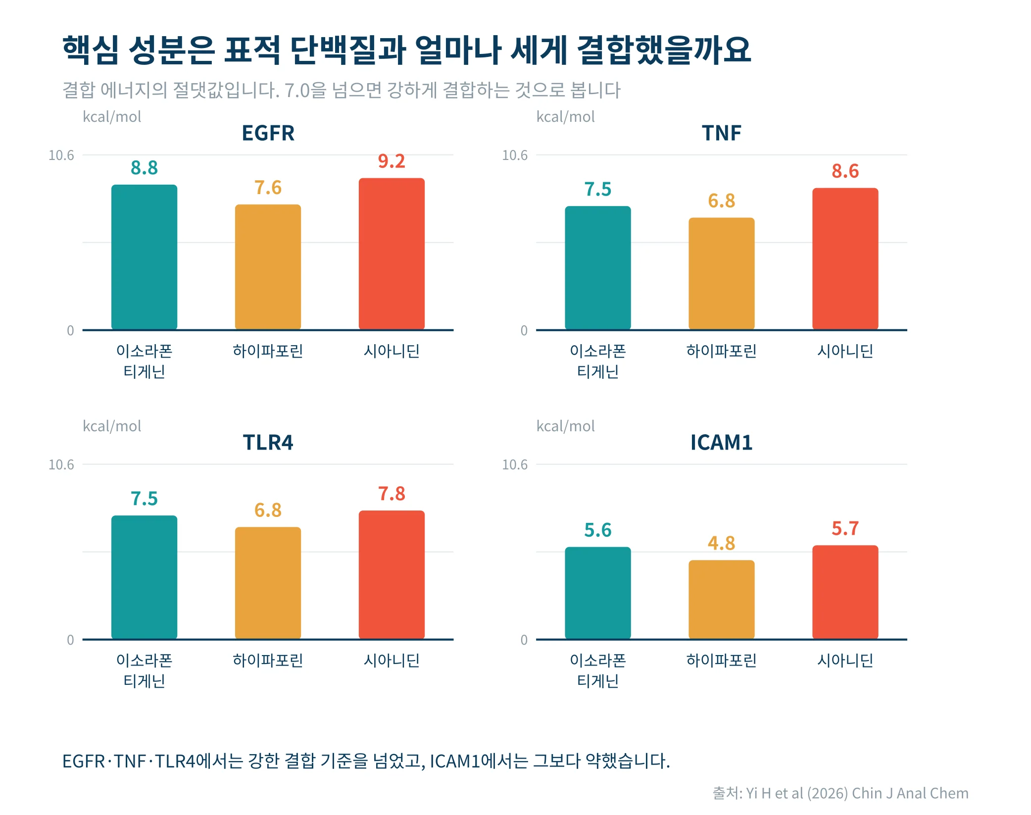 핵심 성분과 표적 단백질의 결합력