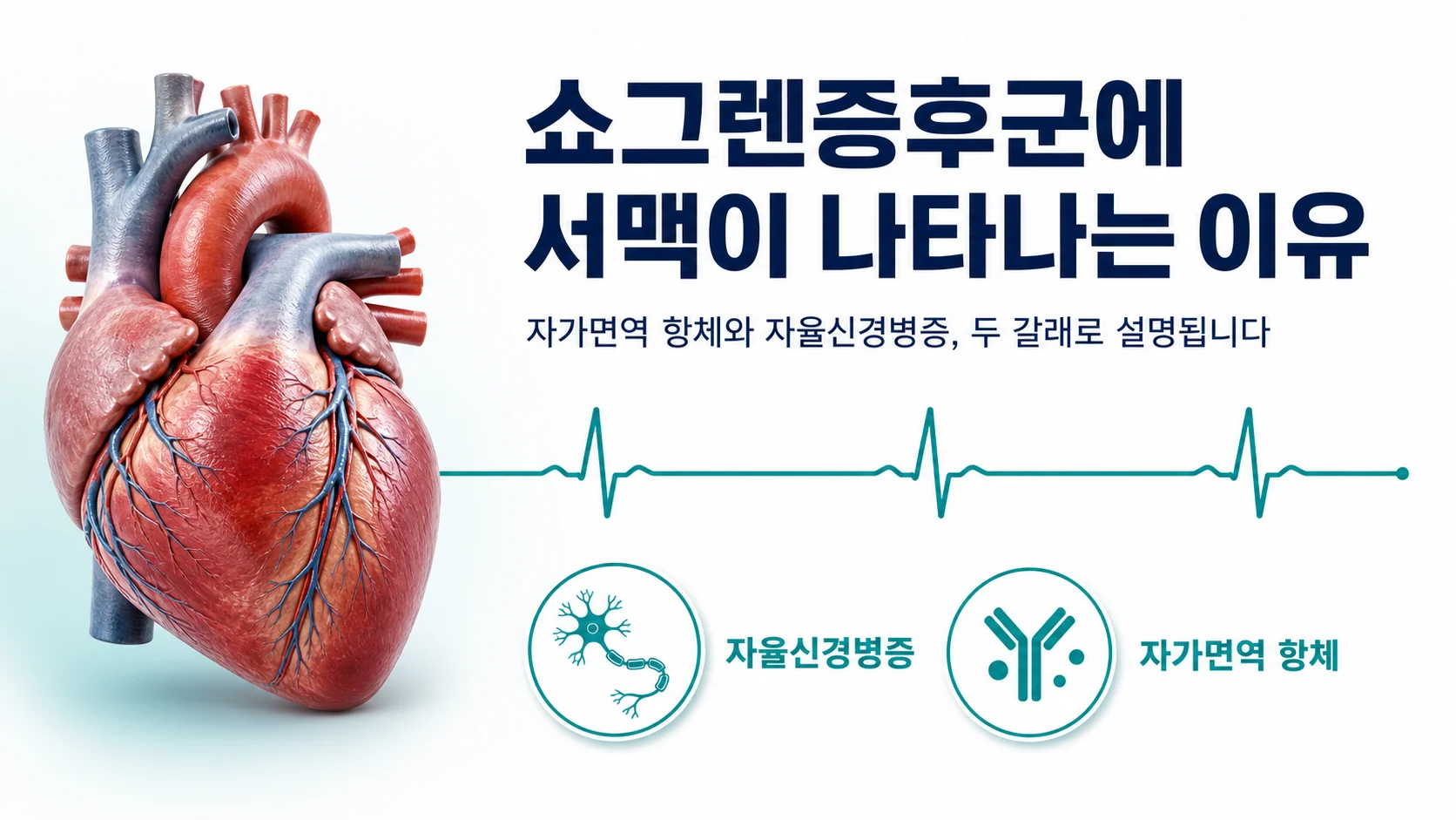 쇼그렌증후군 환자에게 나타나는 느린 맥박과 그 배경을 설명하는 대표 이미지