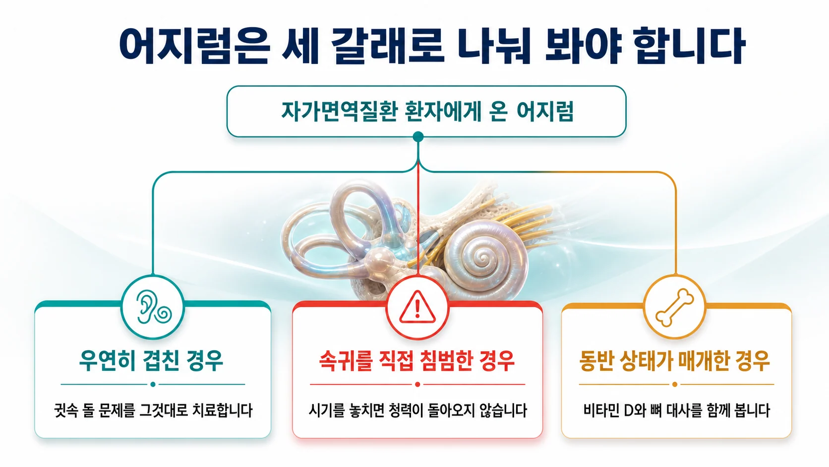 어지럼이 우연히 겹친 경우와 자가면역이 속귀를 직접 침범한 경우, 동반 상태가 매개하는 경우의 세 갈래를 나눠 각각 해야 할 일을 보여주는 그림