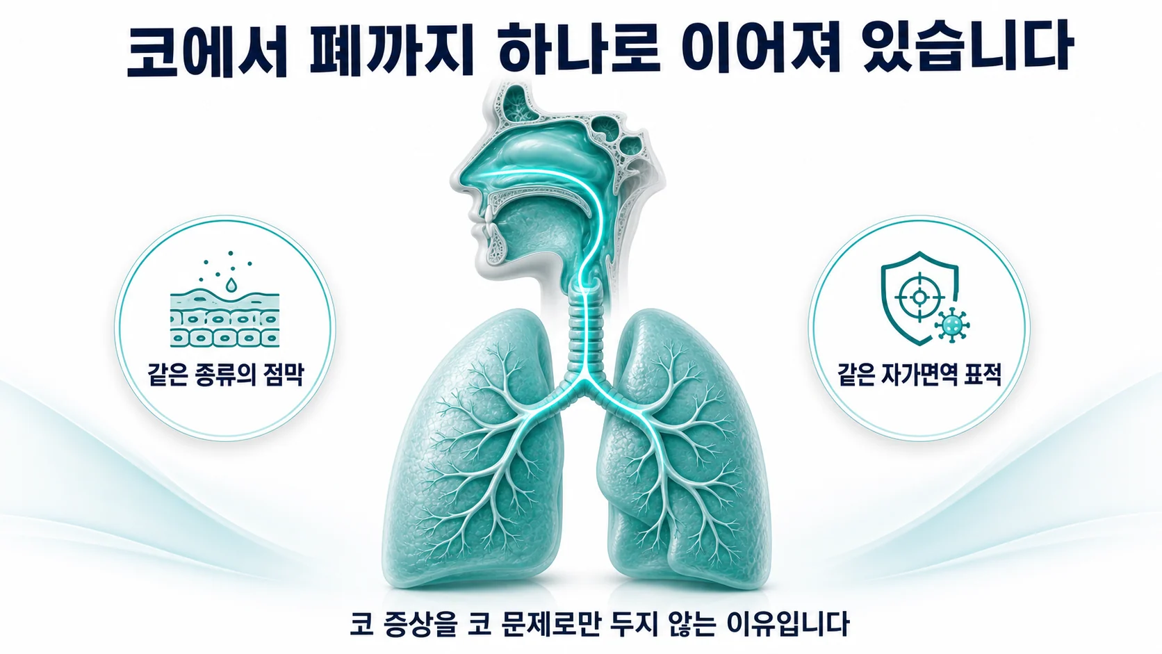 코에서 기관지와 폐까지 하나의 기도로 이어져 있음을 설명하는 이미지