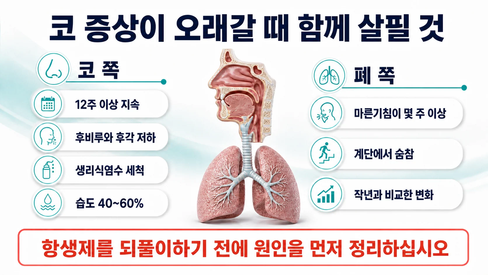 코 증상이 오래갈 때 함께 확인해야 할 항목을 정리한 이미지