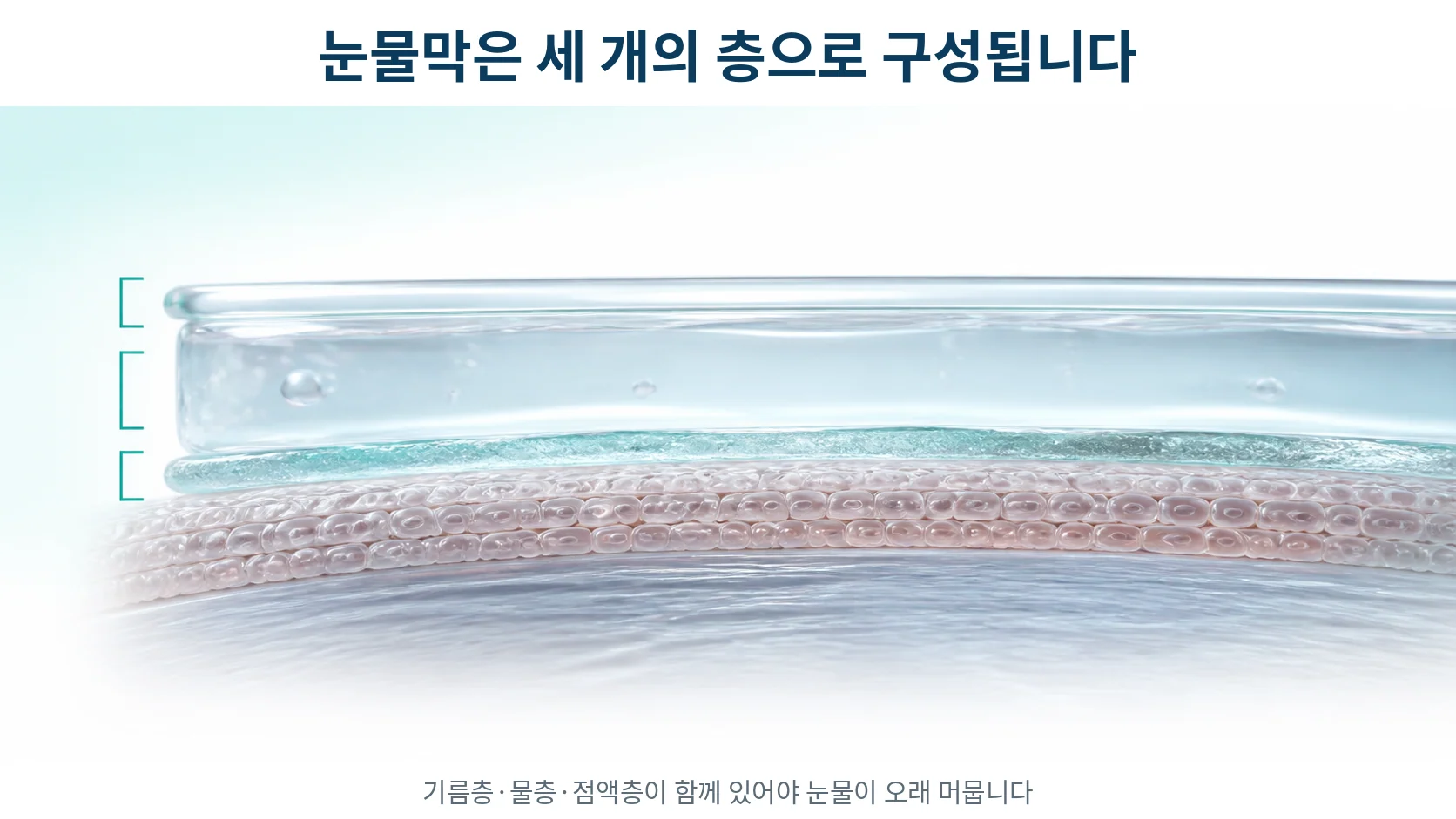 각막 표면에 덮인 눈물막을 기름층과 물층과 점액층으로 나누어 확대해 보여 주는 단면 그림