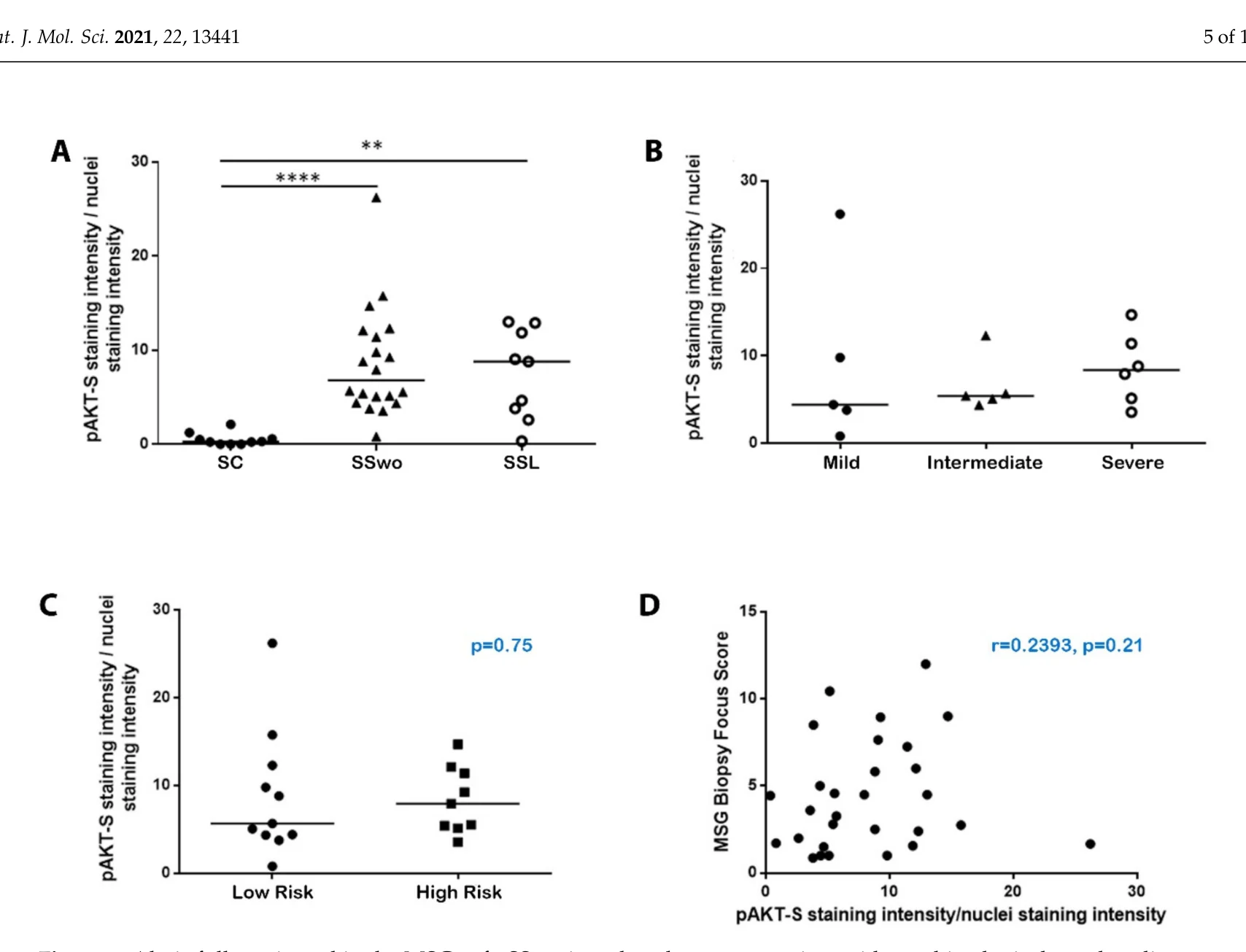 완전 활성화 Akt(pAkt-S473) 염색 강도 정량 — 환자군이 대조군보다 유의하게 높음