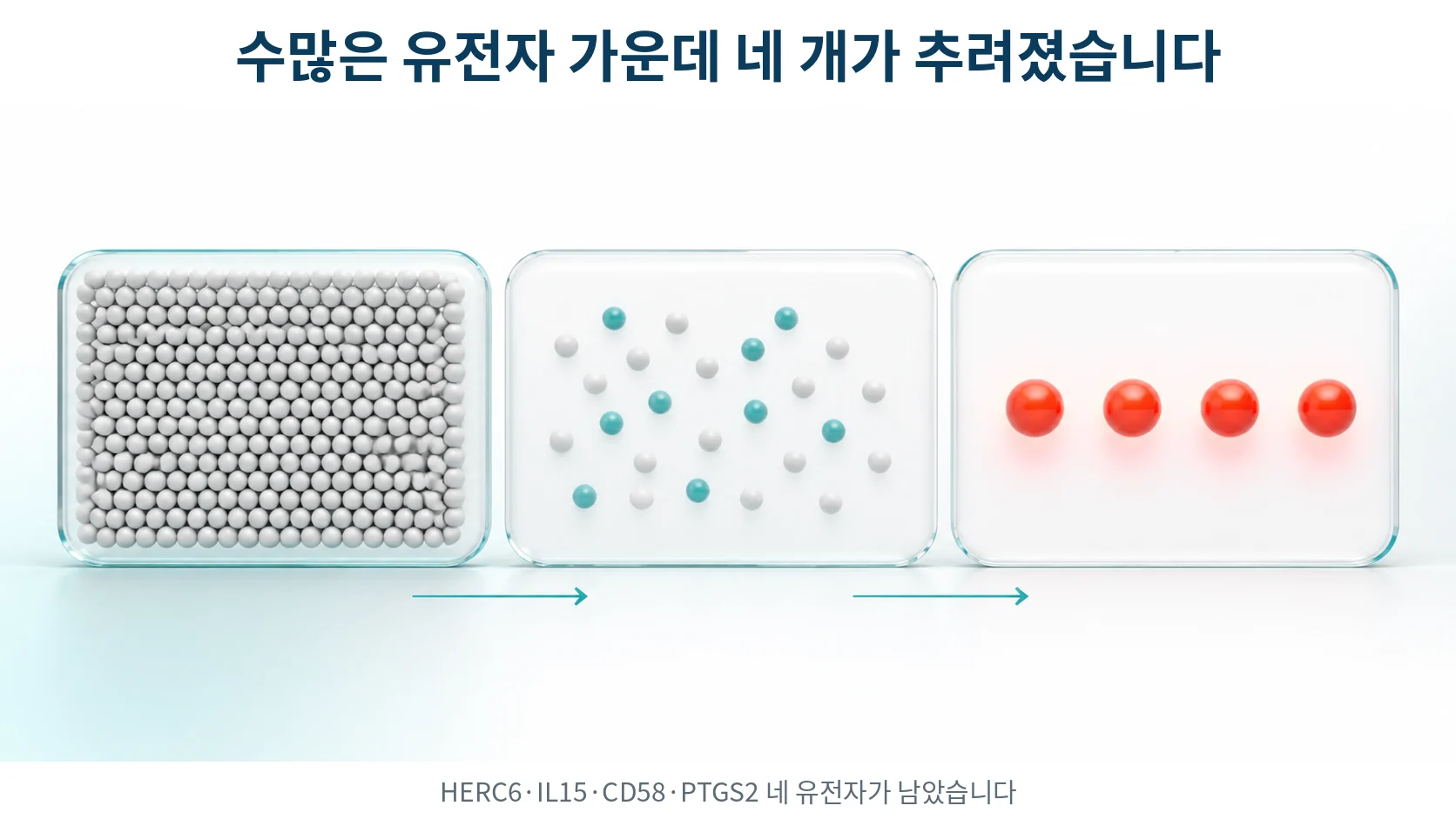 넓게 흩어진 수많은 점 가운데 네 개만 뚜렷하게 강조되어 남는 과정을 단계적으로 보여 주는 그림