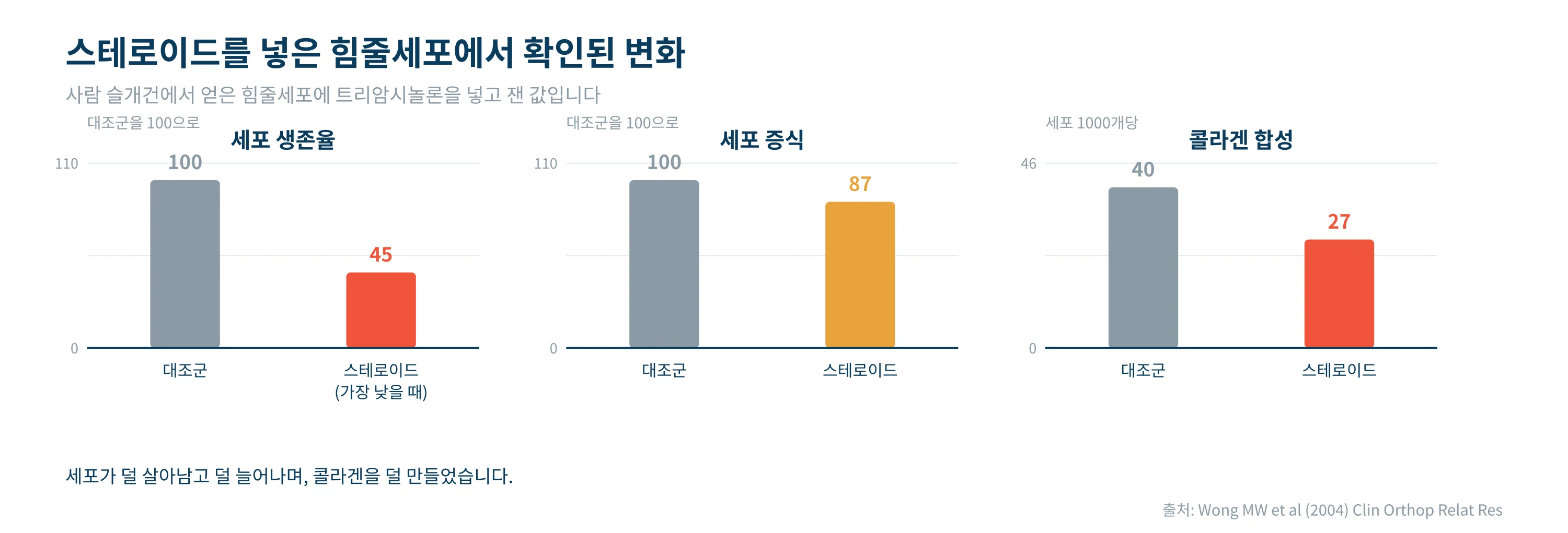 스테로이드를 넣은 힘줄세포에서 확인된 변화