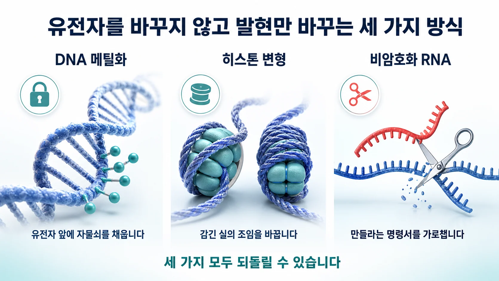 DNA 메틸화와 히스톤 변형, 비암호화 RNA라는 후성유전 세 가지 기전이 각각 유전자 발현을 조절하는 방식을 나란히 보여주는 그림
