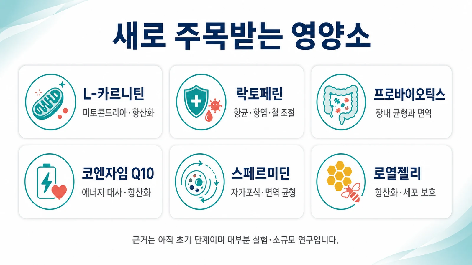 새로 주목받는 영양소