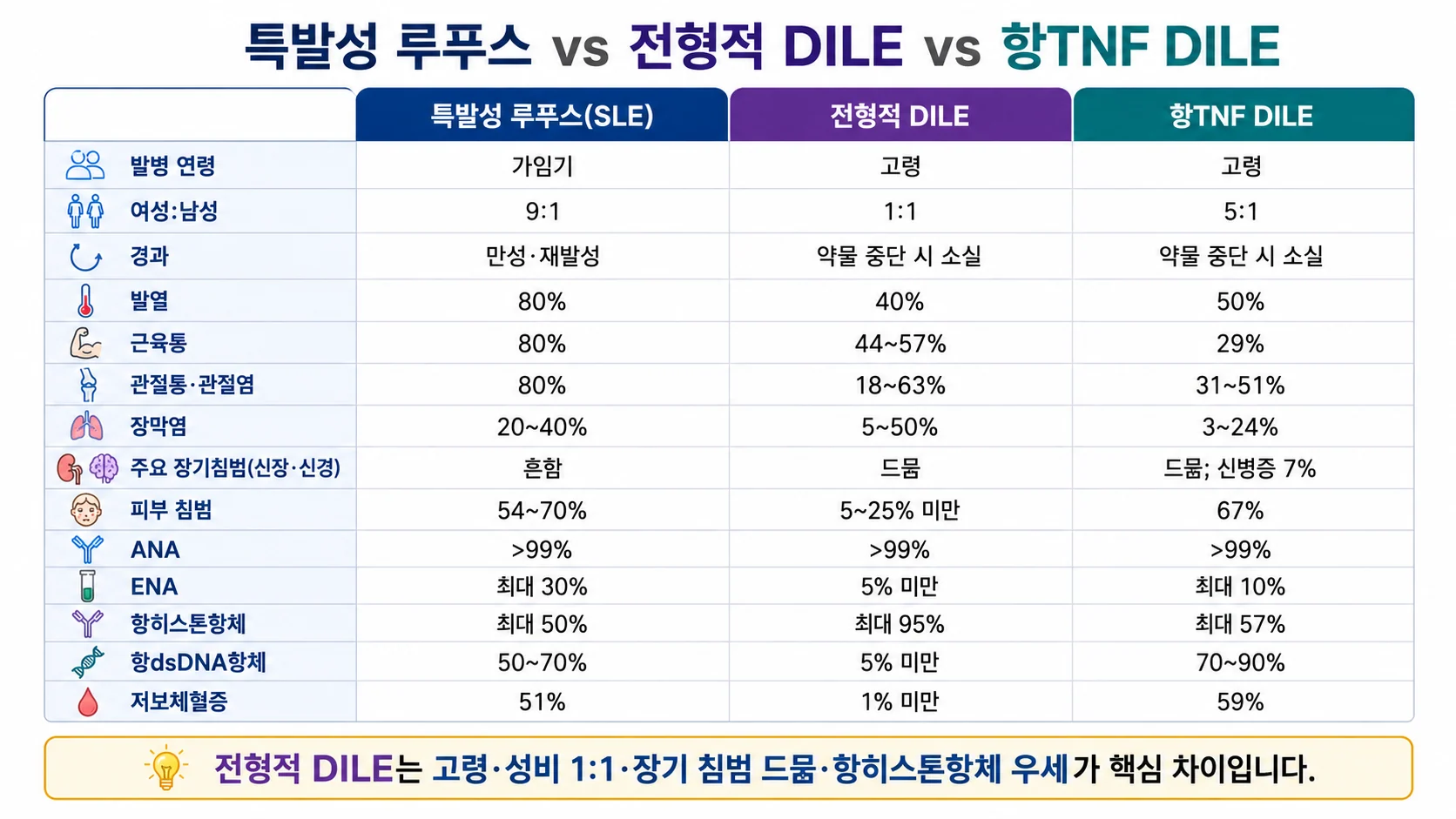 특발성 루푸스 vs 전형적 DILE vs 항TNF DILE 증상·검사 비교