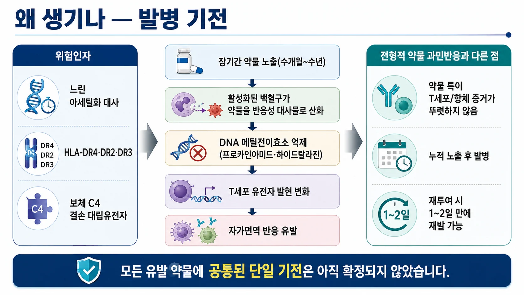 왜 생기나 — 위험인자와 발병 기전, 전형적 약물 과민반응과의 차이