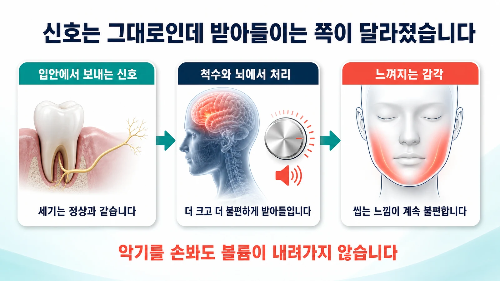 중추감작 — 신호는 그대로인데 받아들이는 쪽이 달라졌습니다
