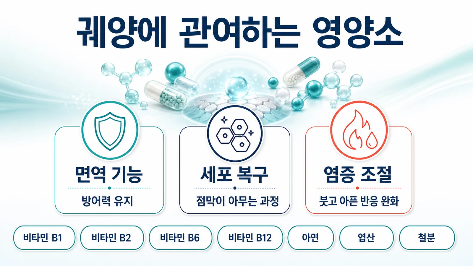 비타민 B군과 미량원소가 궤양 경과에 관여하는 세 가지 축을 정리한 영양 인포그래픽
