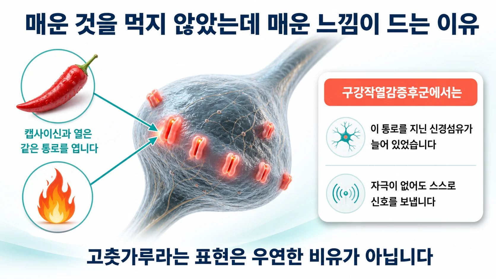 왜 고춧가루를 뿌린 것처럼 느껴질까요